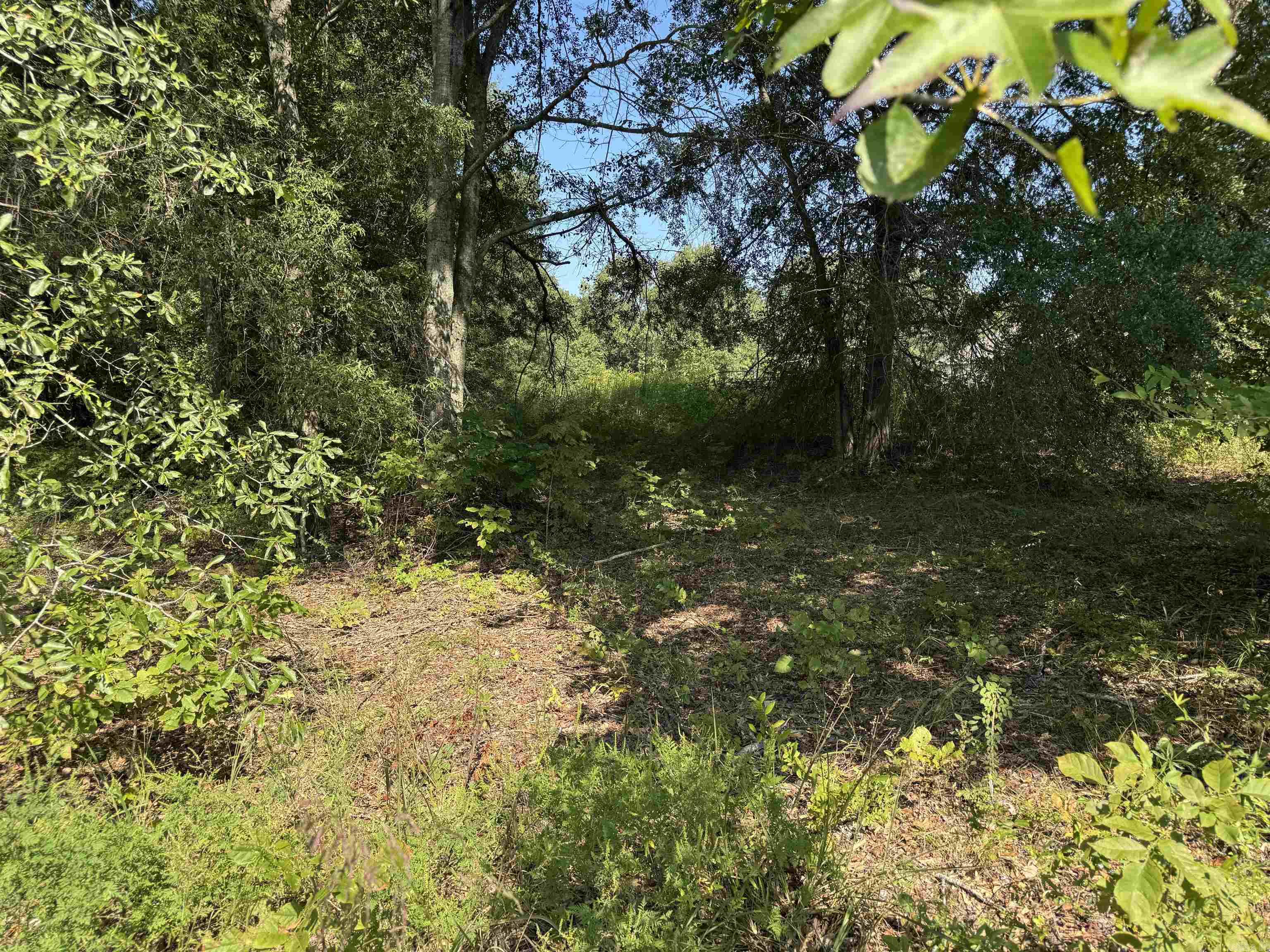 00 Calvary  Lonoke, AR