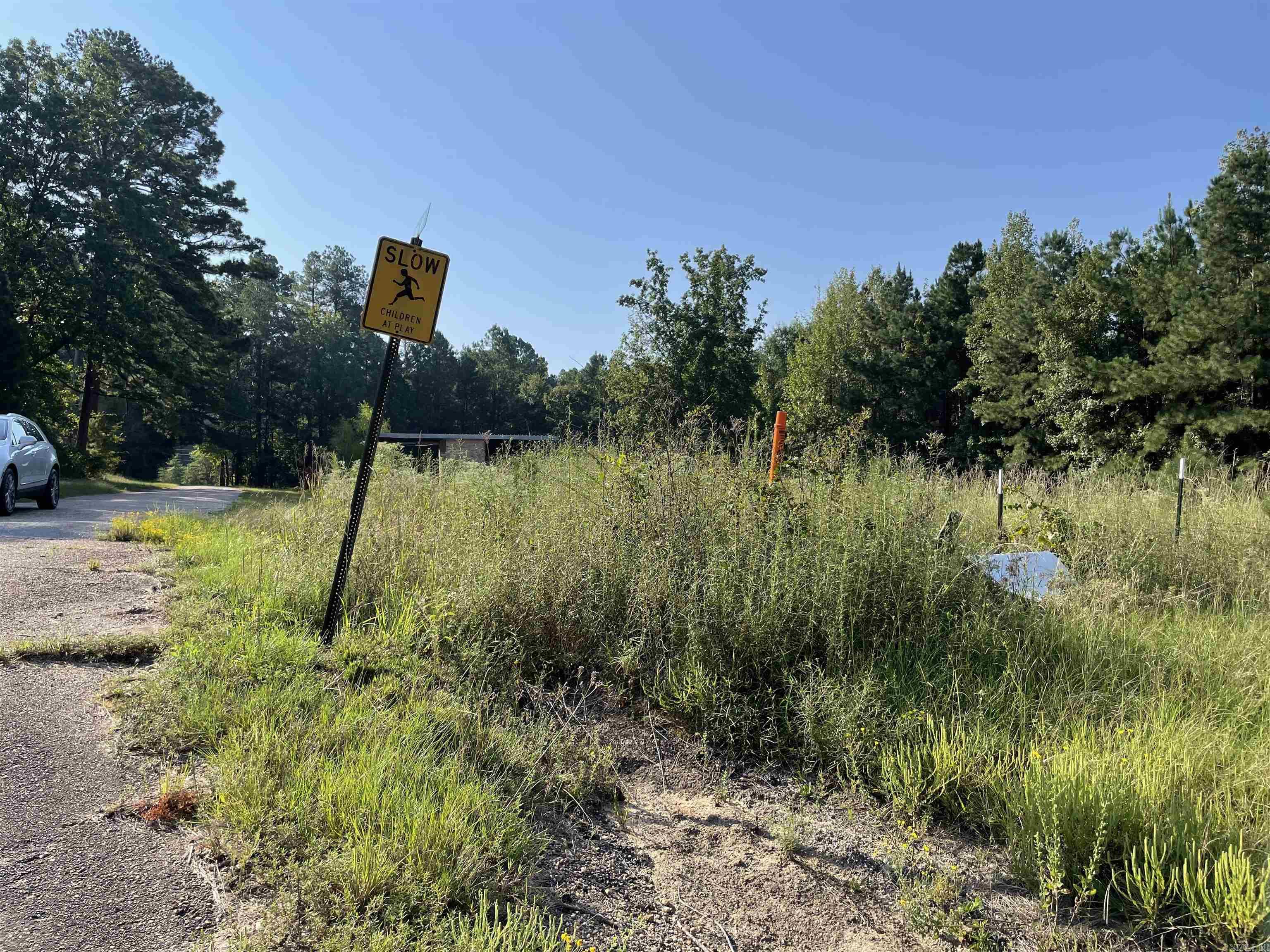 TBD 79 Bypass & Ferris Mtn 167 Bypass & Ferris Mtn Fordyce, AR