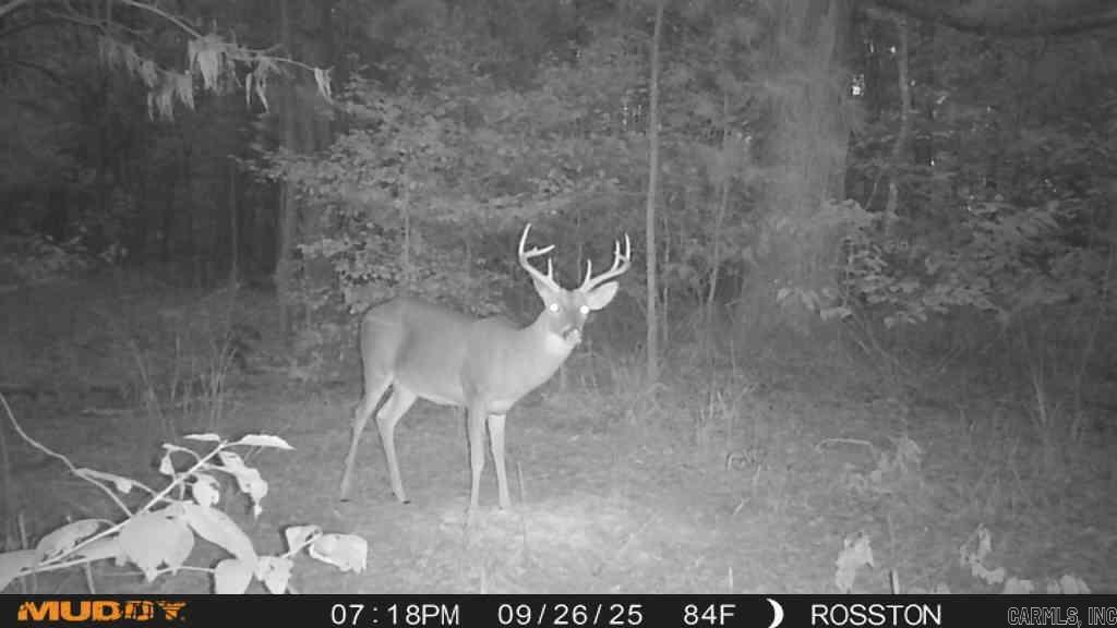 TBD Hwy 57  Chidester, AR
