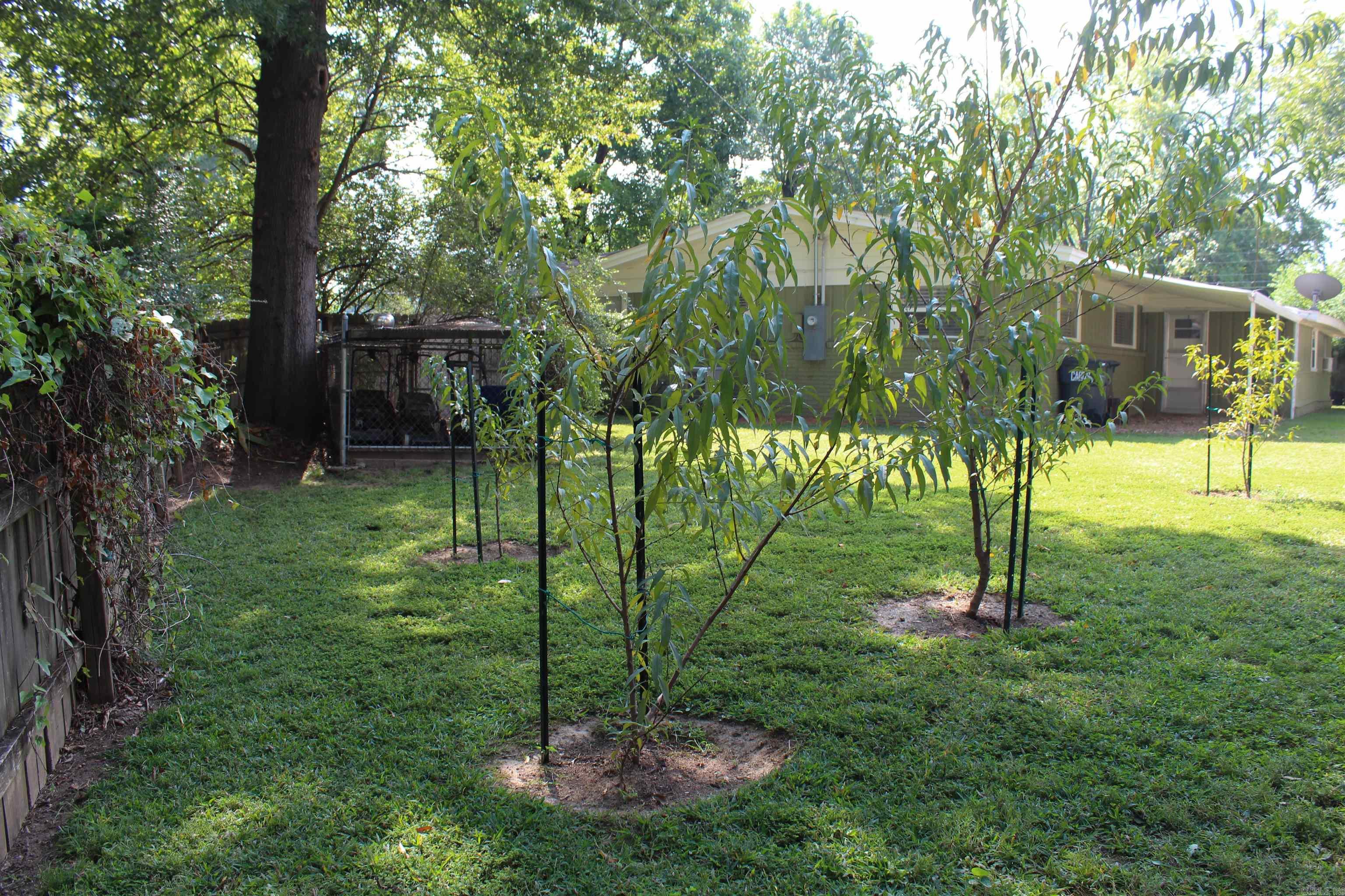 208 S Phoenix Ave  Russellville, AR