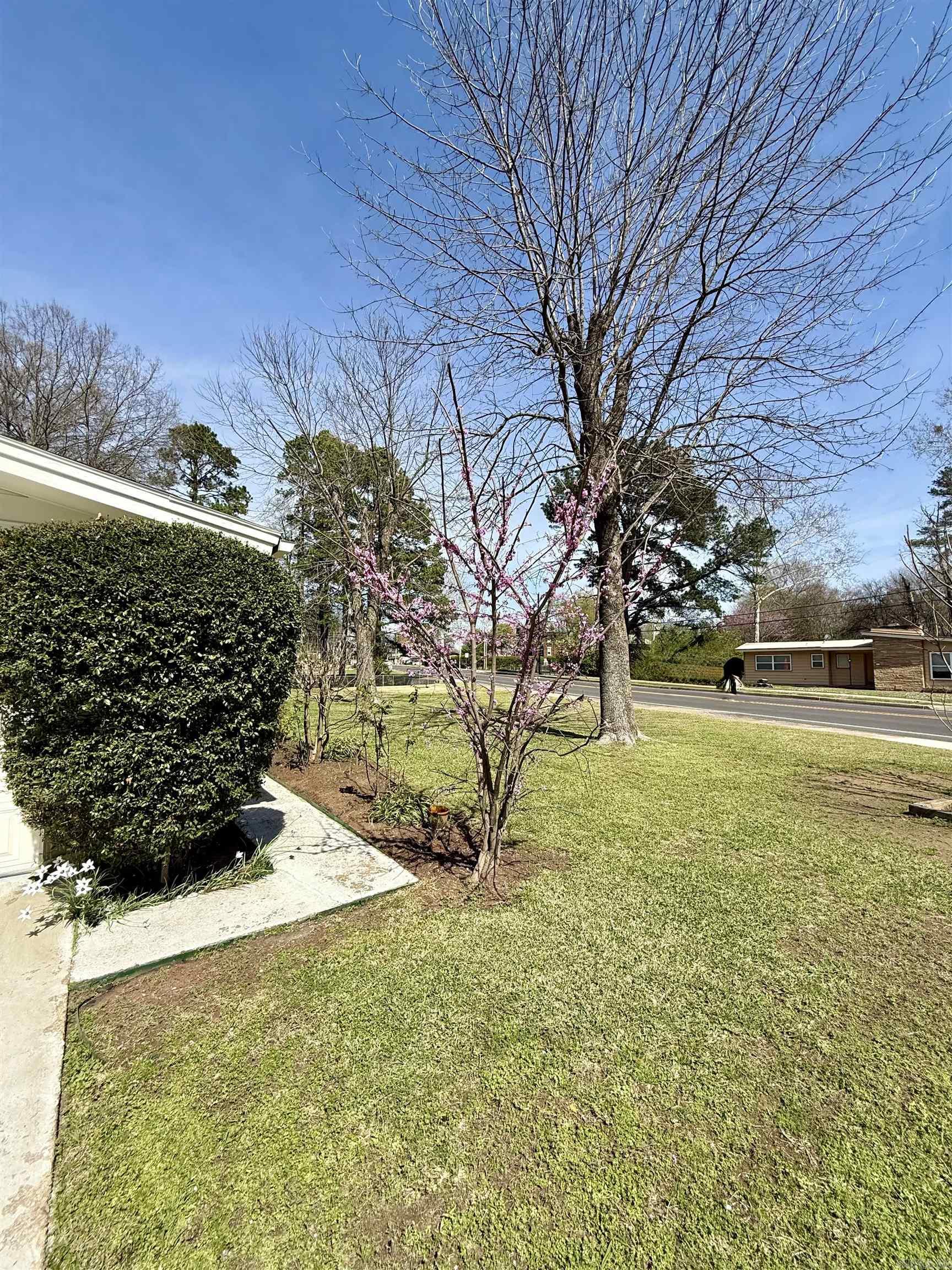 208 S Phoenix Ave Russellville, AR 72801