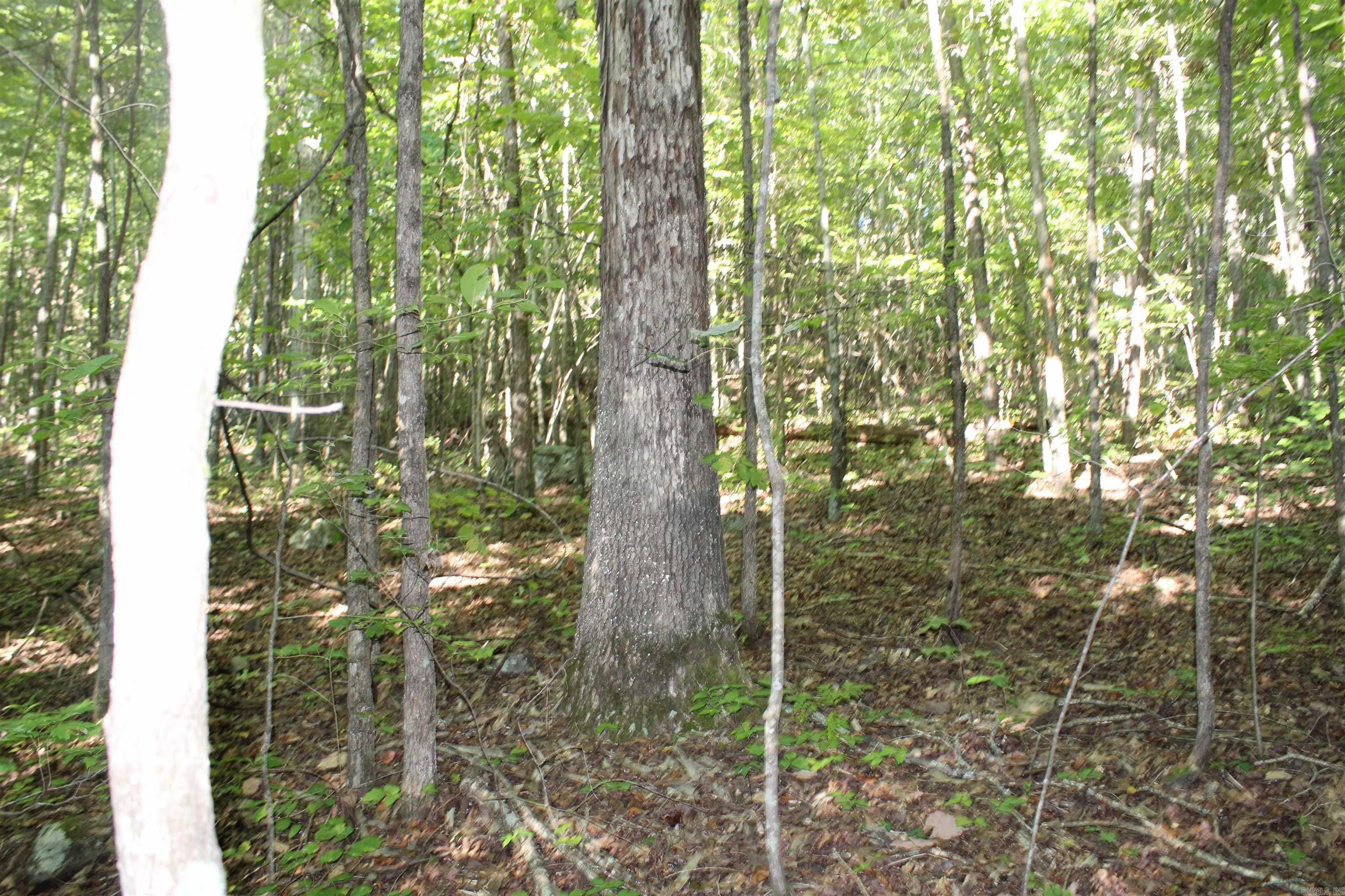 000 Greta Road  Clinton, AR