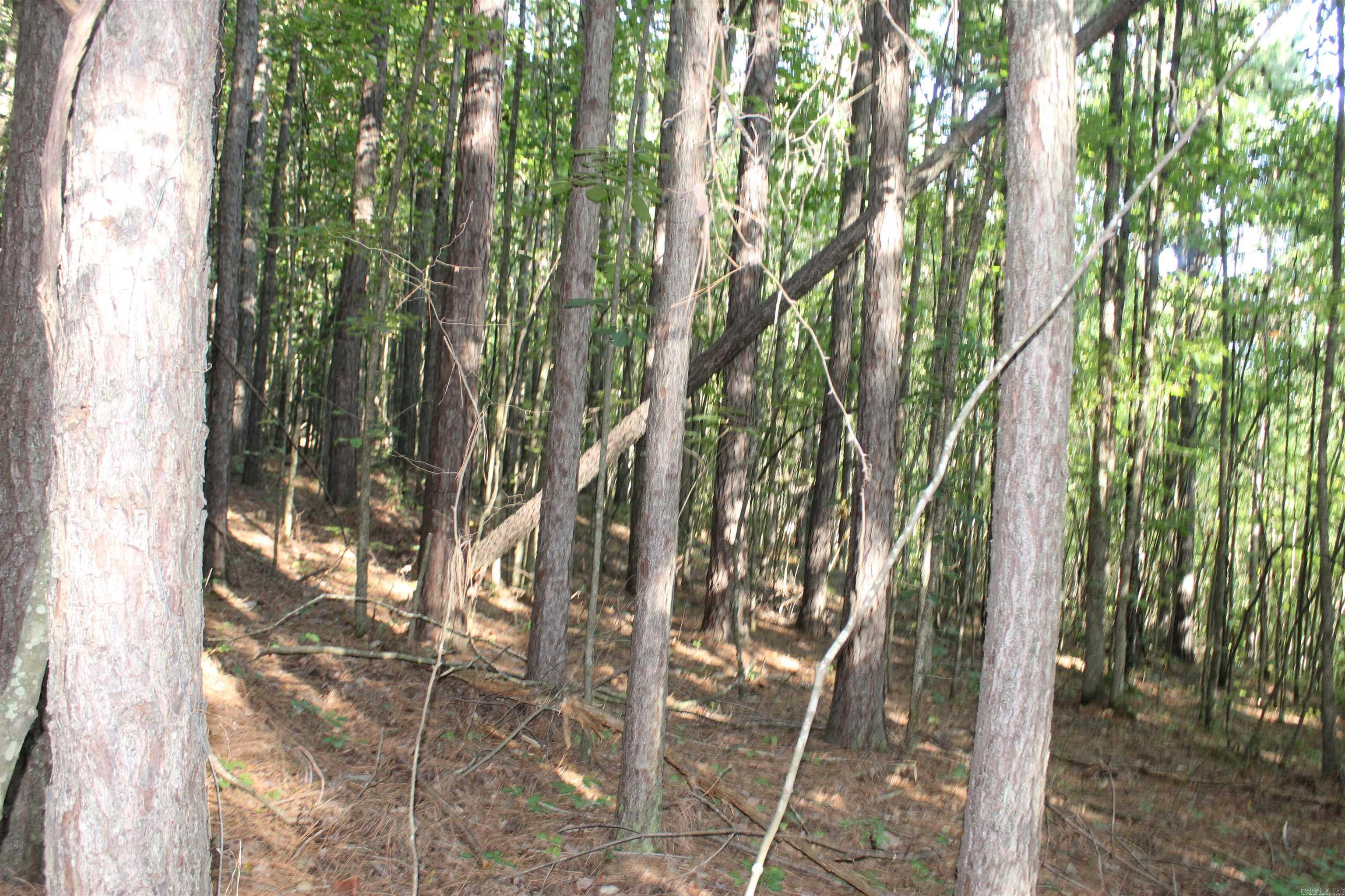 000 Greta Road  Clinton, AR