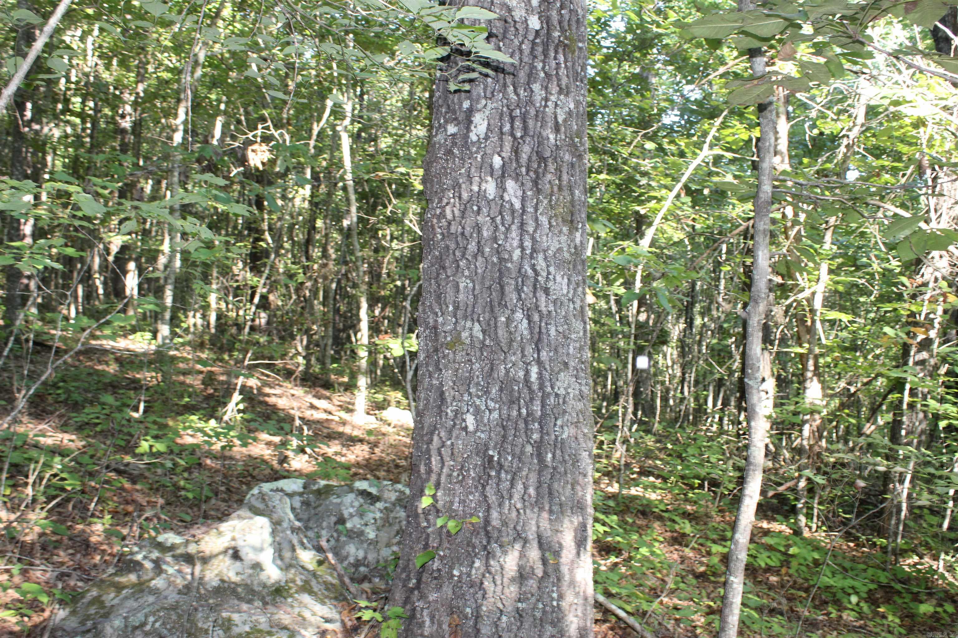 000 Greta Road  Clinton, AR