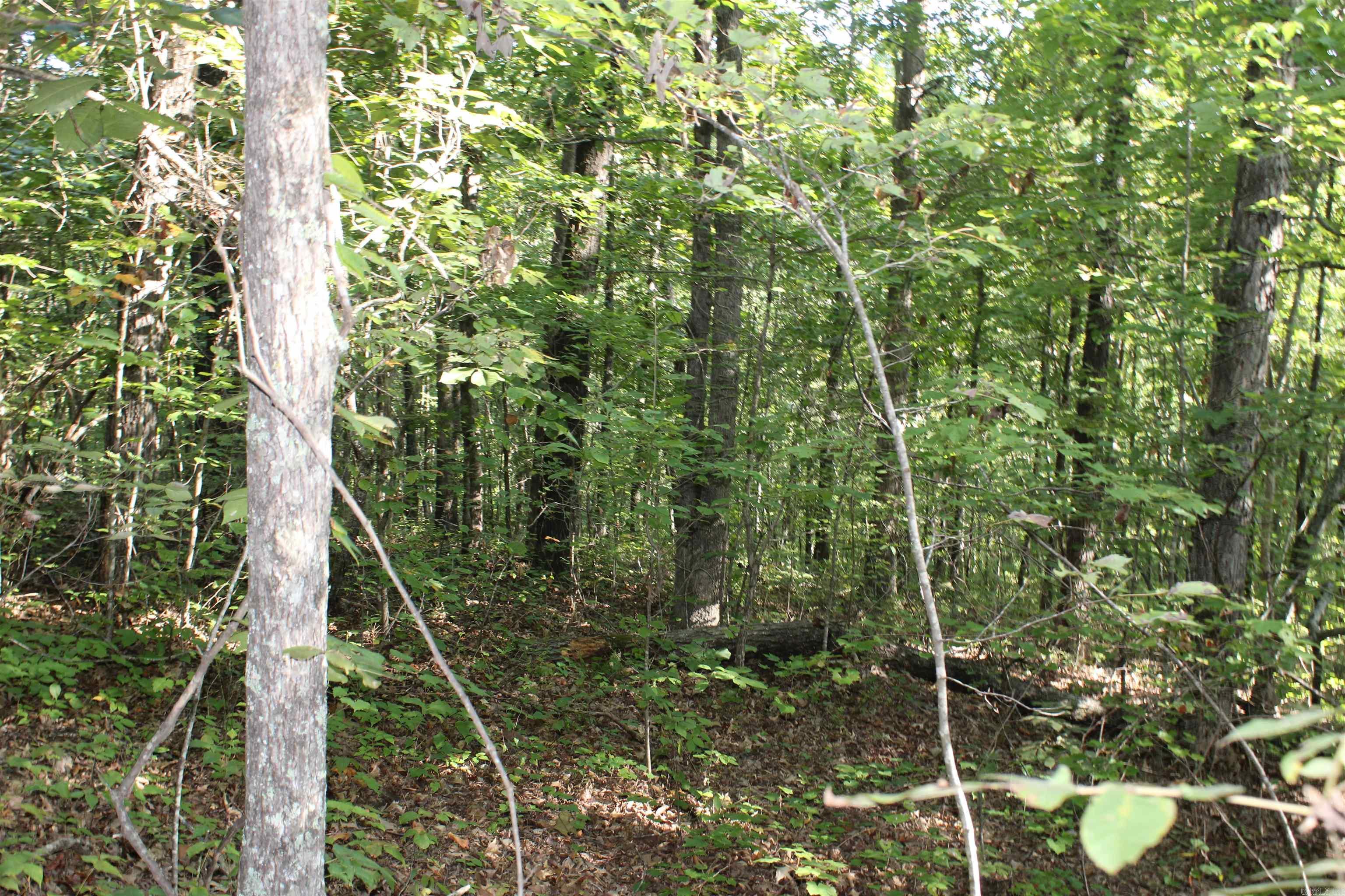 000 Greta Road  Clinton, AR