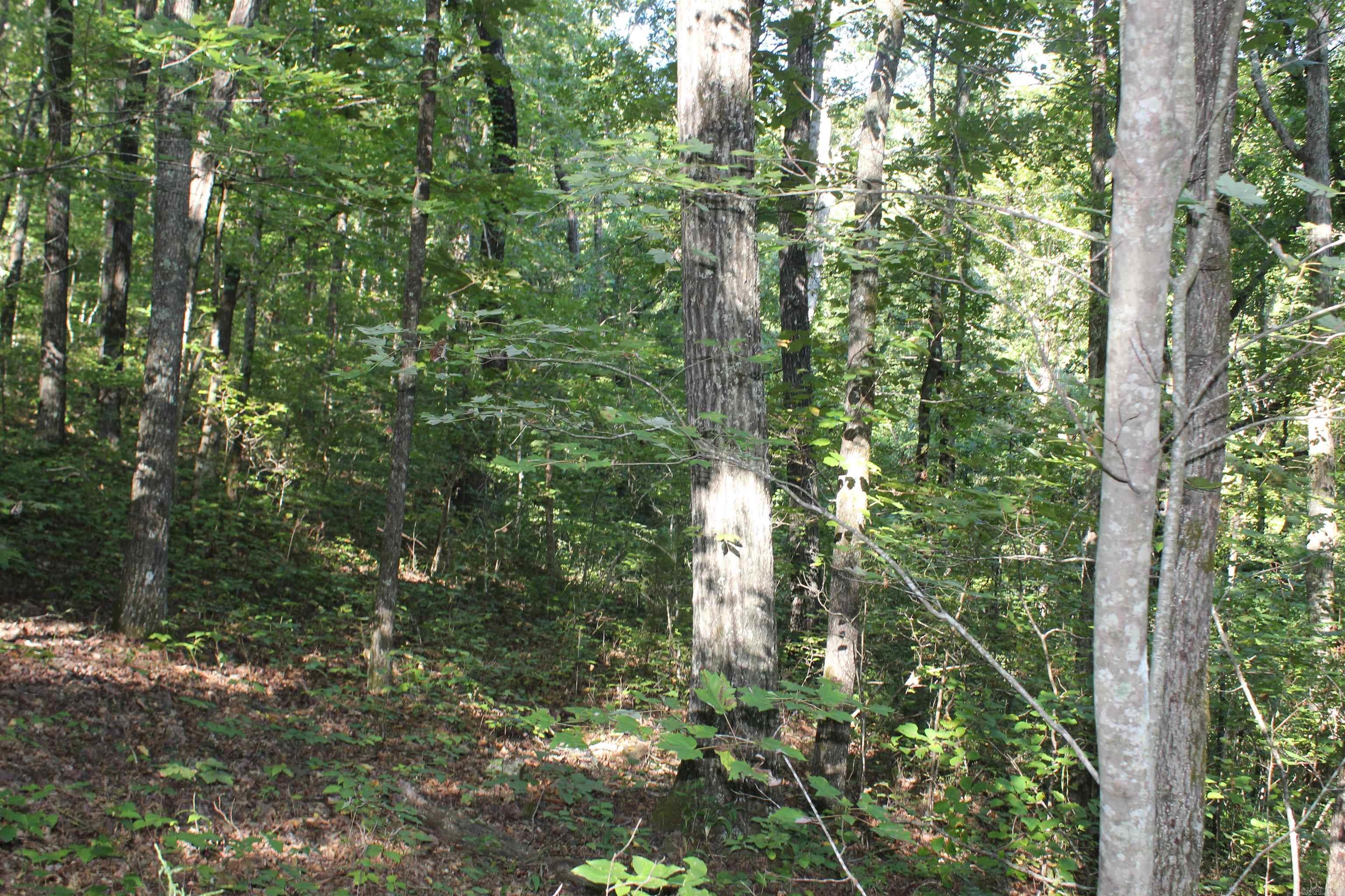 000 Greta Road  Clinton, AR