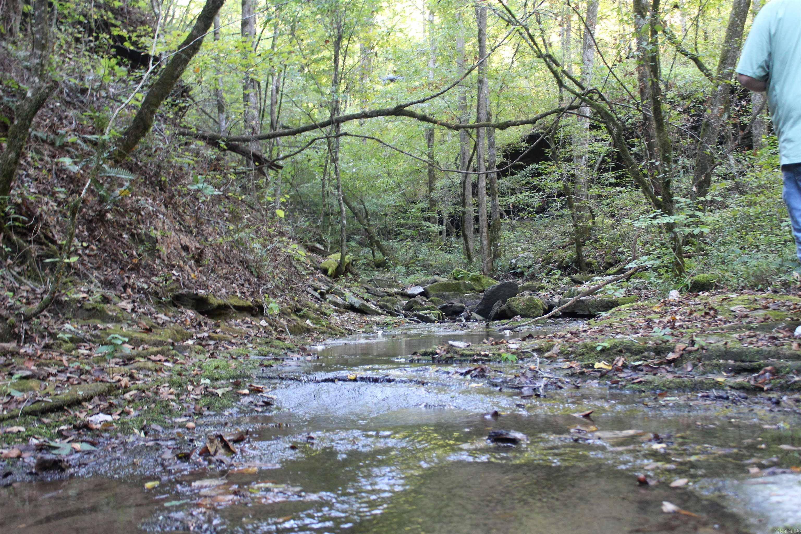 000 Greta Road  Clinton, AR