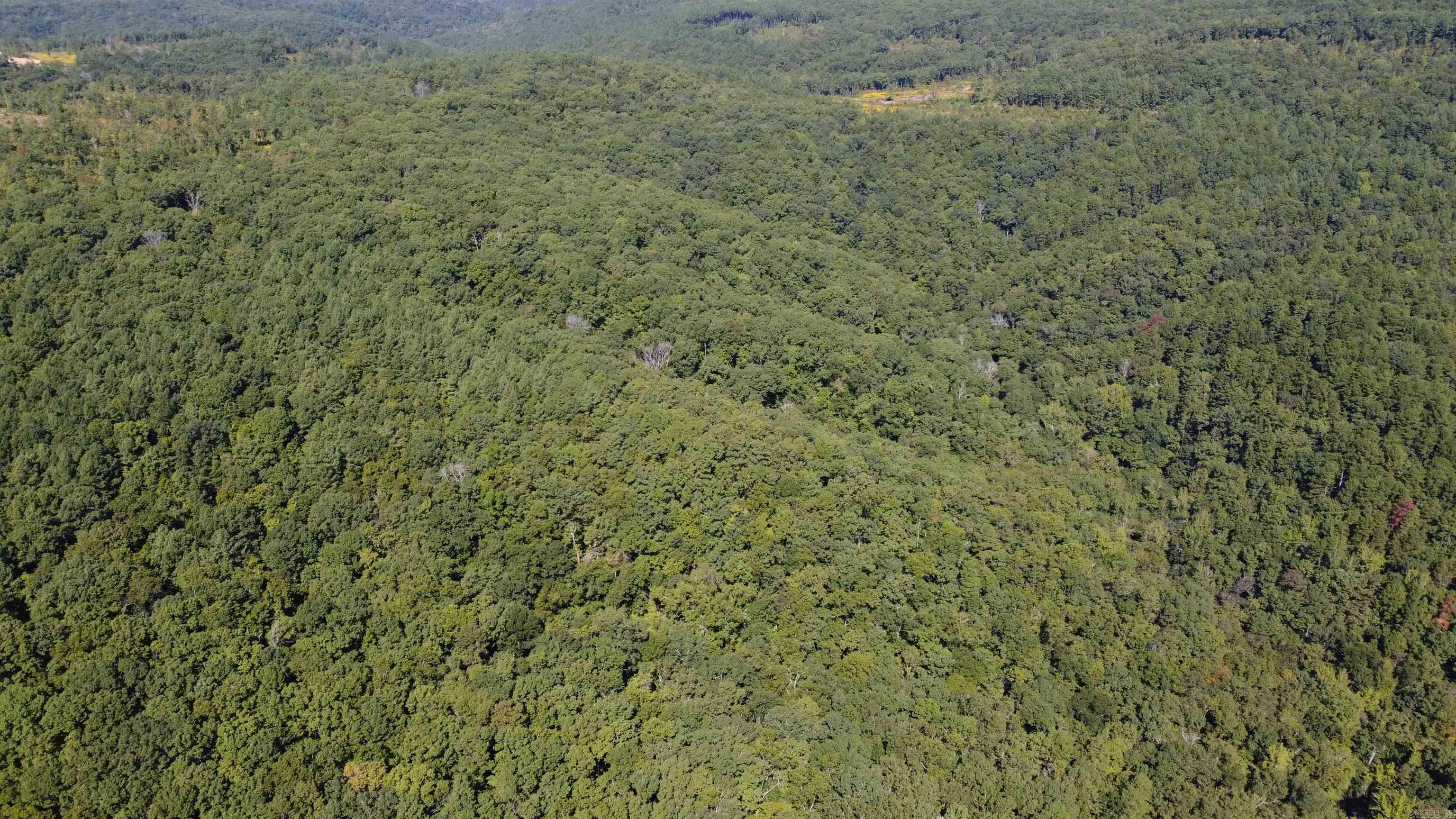 000 Greta Road  Clinton, AR