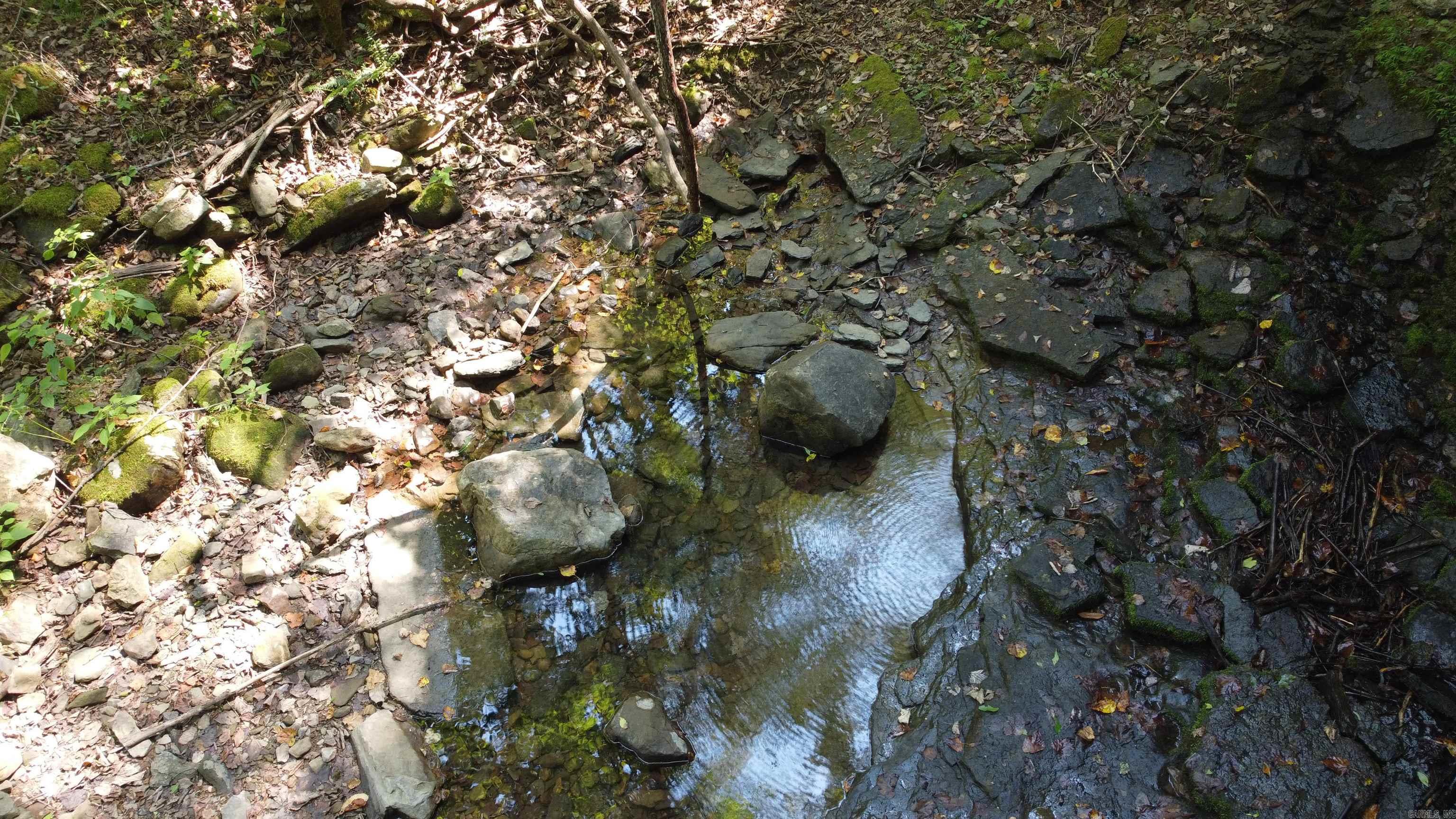 000 Greta Road  Clinton, AR