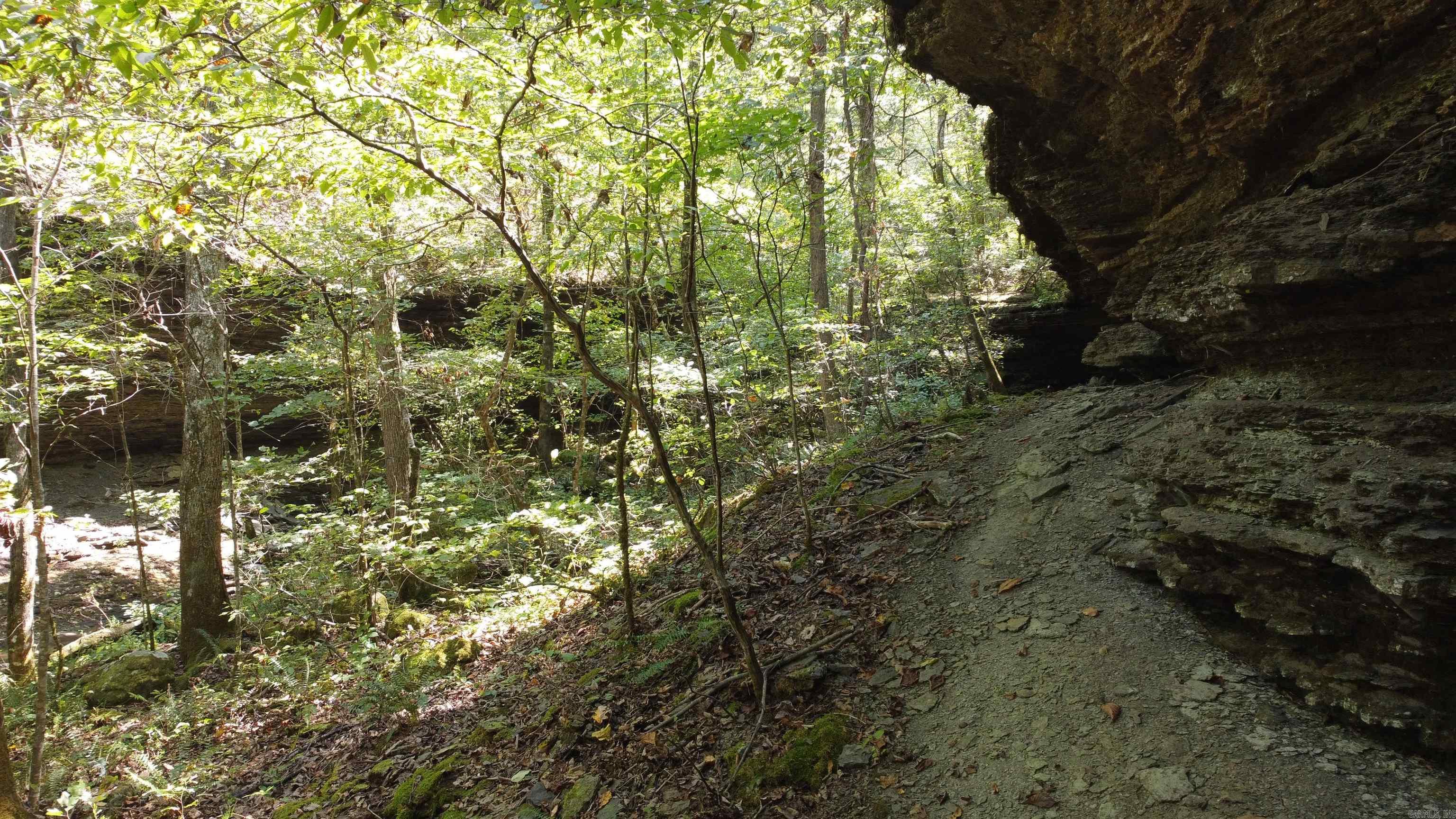 000 Greta Road  Clinton, AR