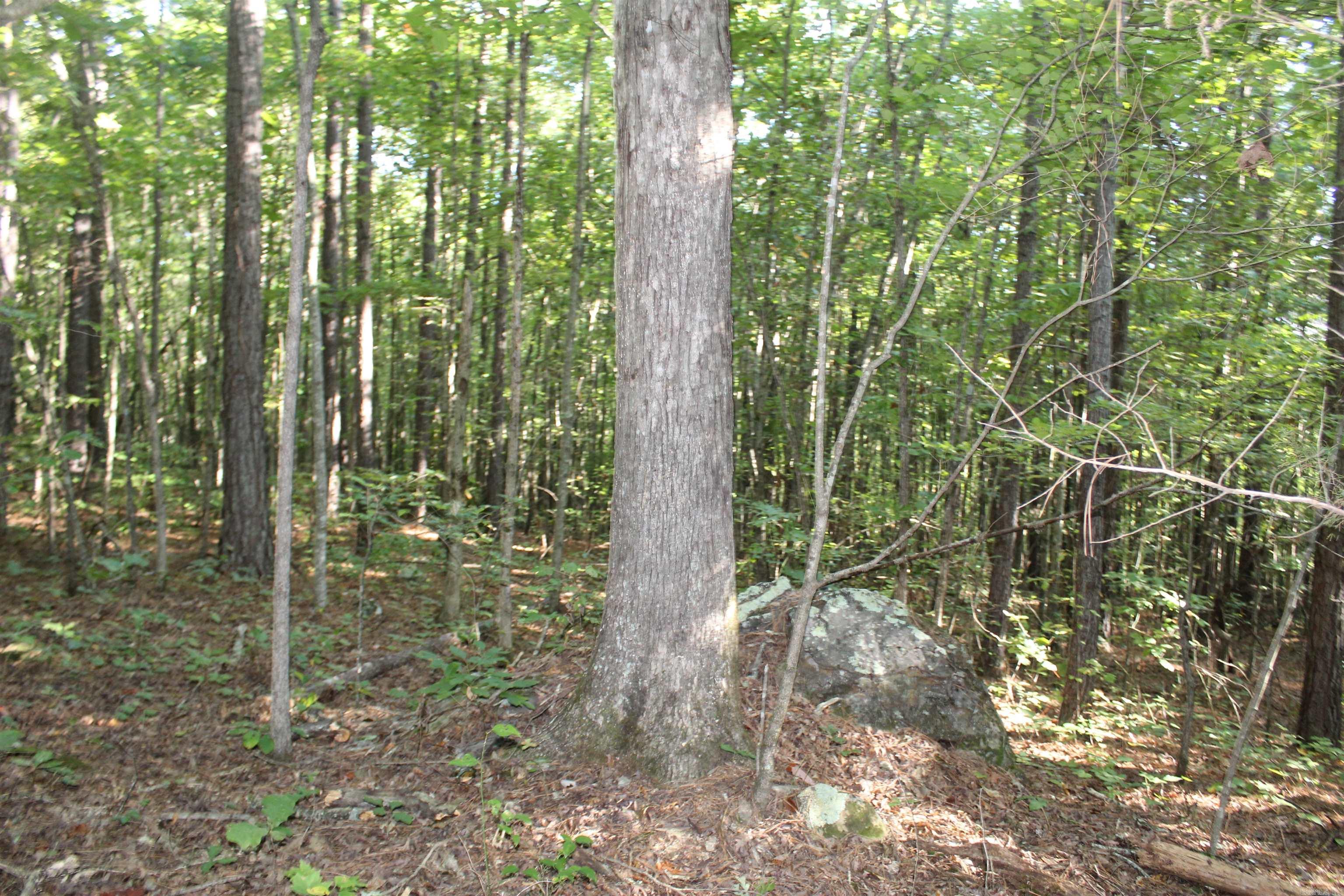 000 Greta Road  Clinton, AR