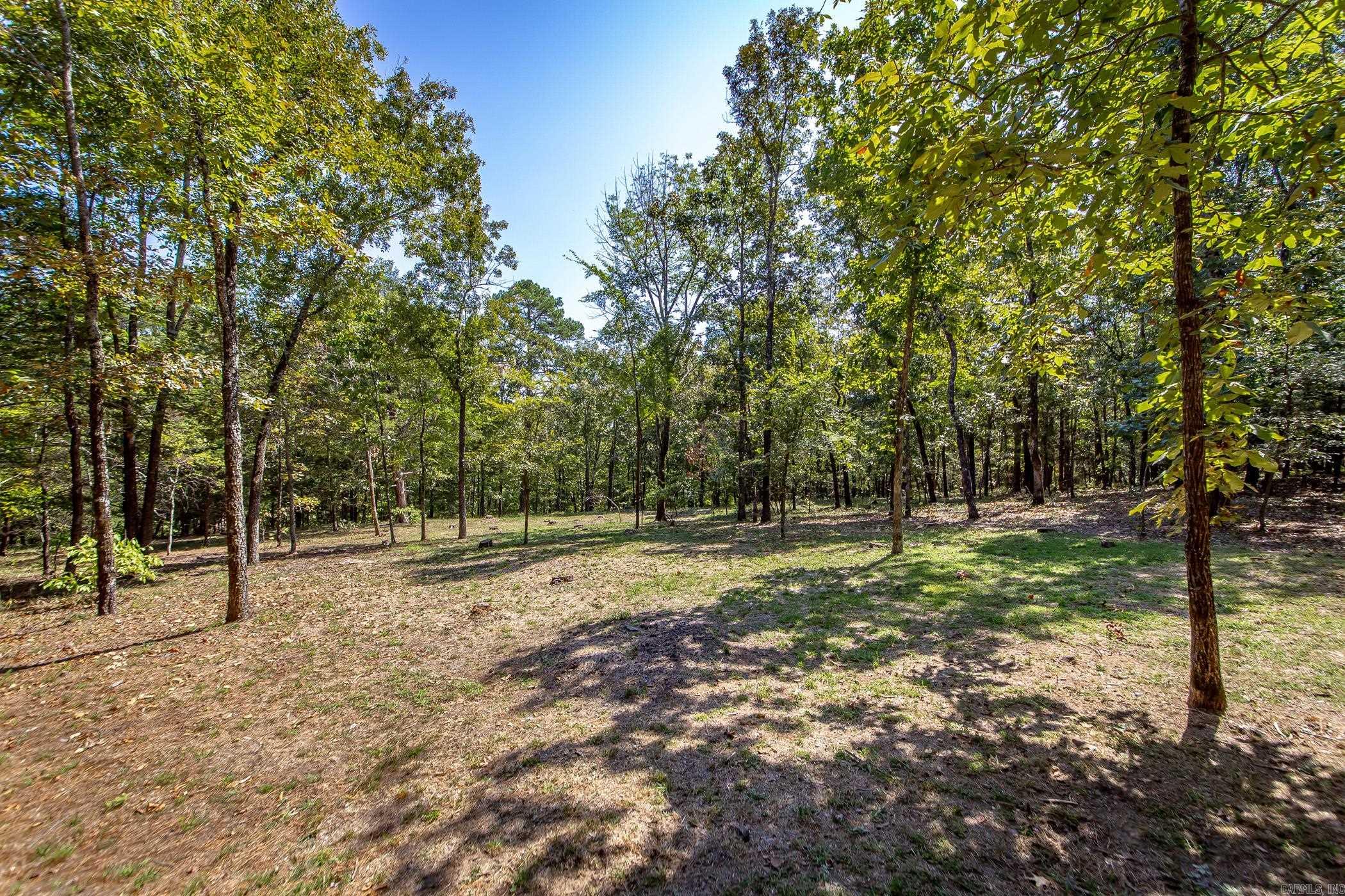 842 Dave Creek  Fairfield Bay, AR