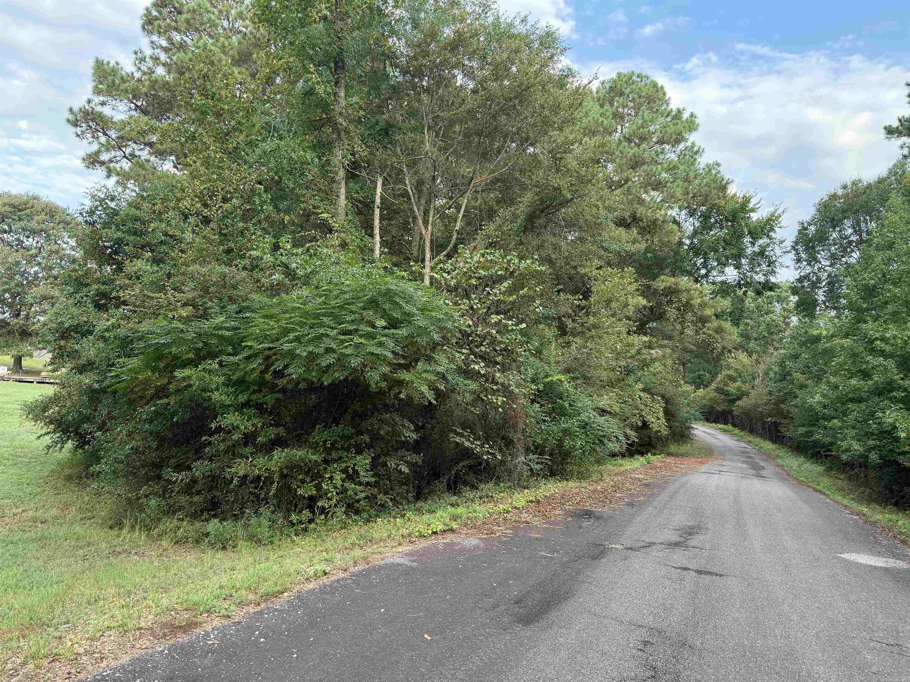 Lot 2 Cooper Cove  Nashville, AR