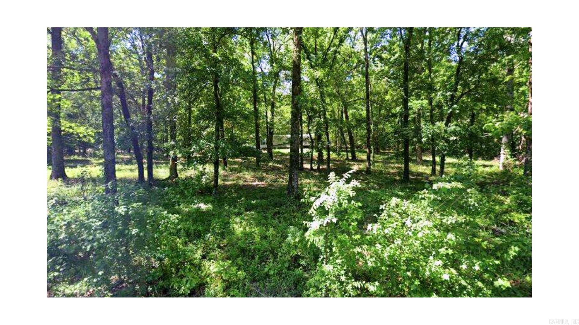 2111 Backbone Road Cabot, AR 72023-7607