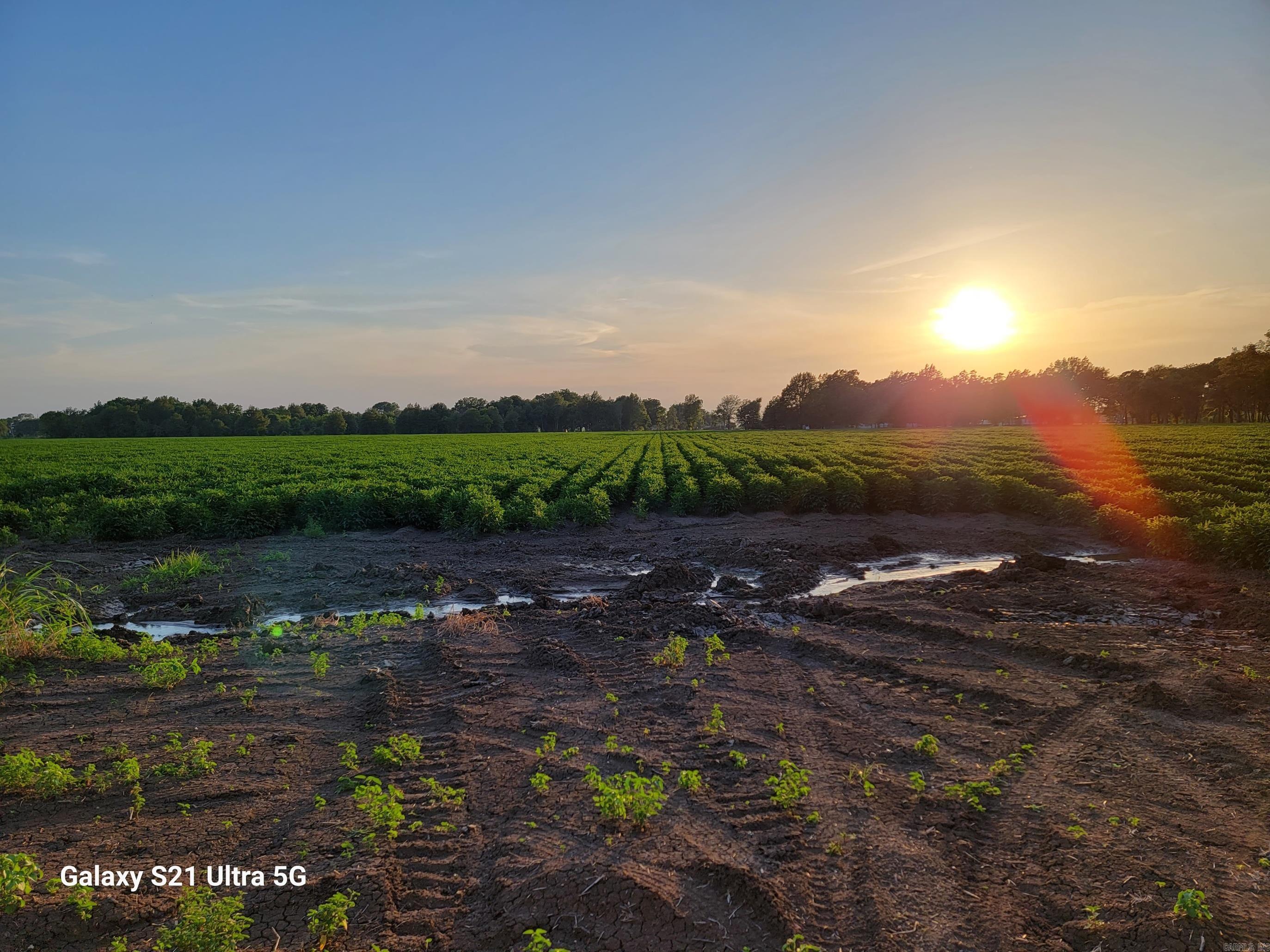  Masonville  McGehee, AR