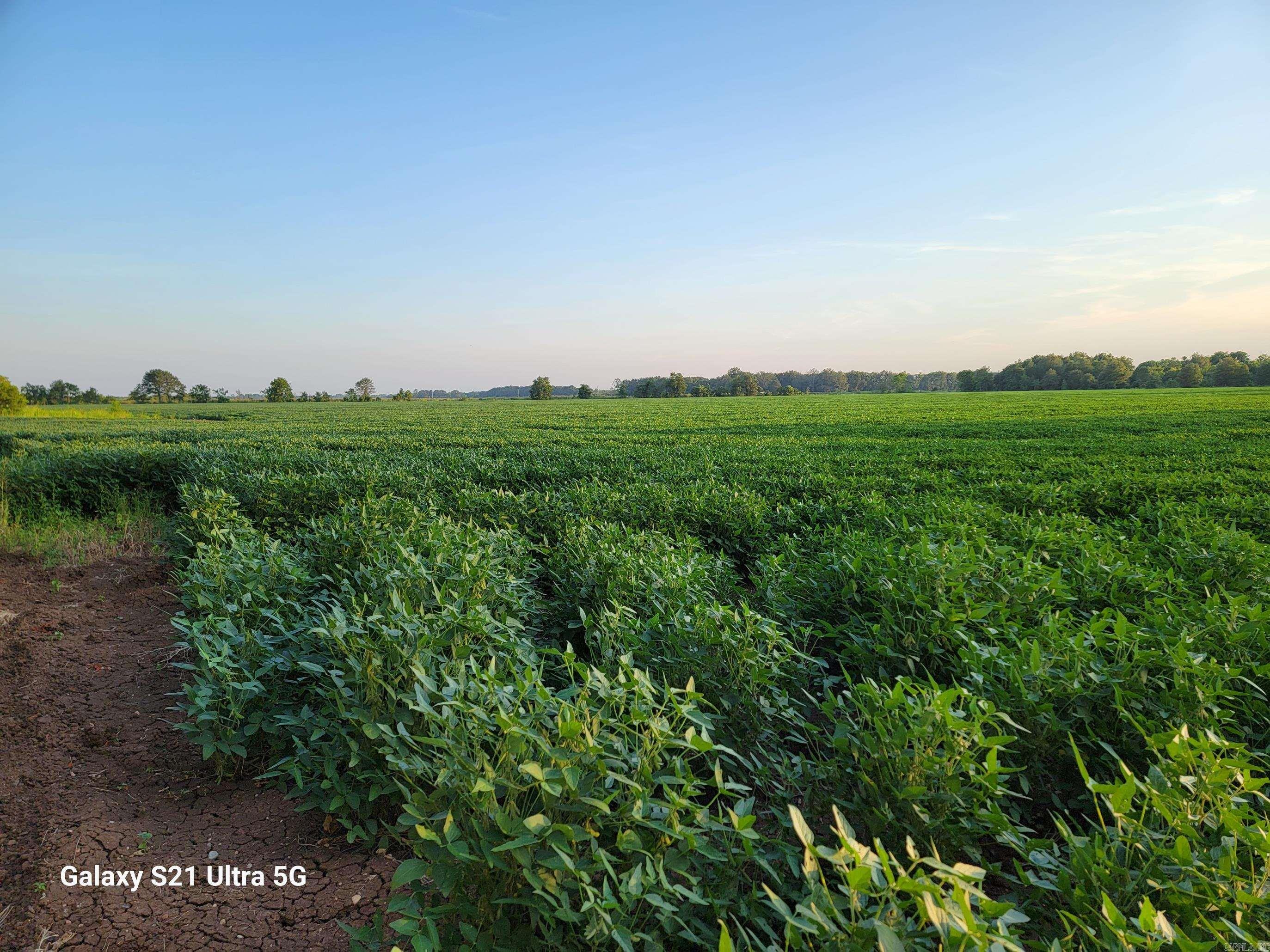  Masonville  McGehee, AR