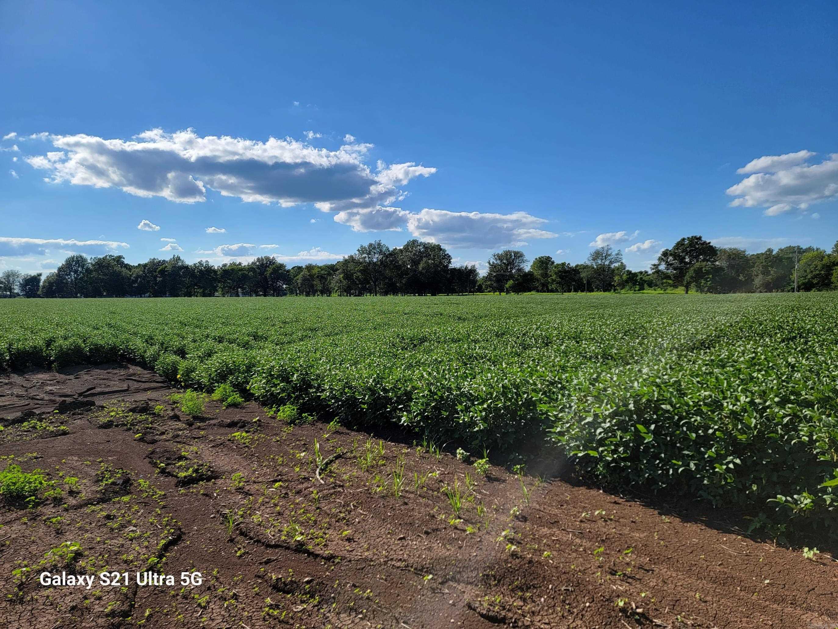  Masonville  McGehee, AR