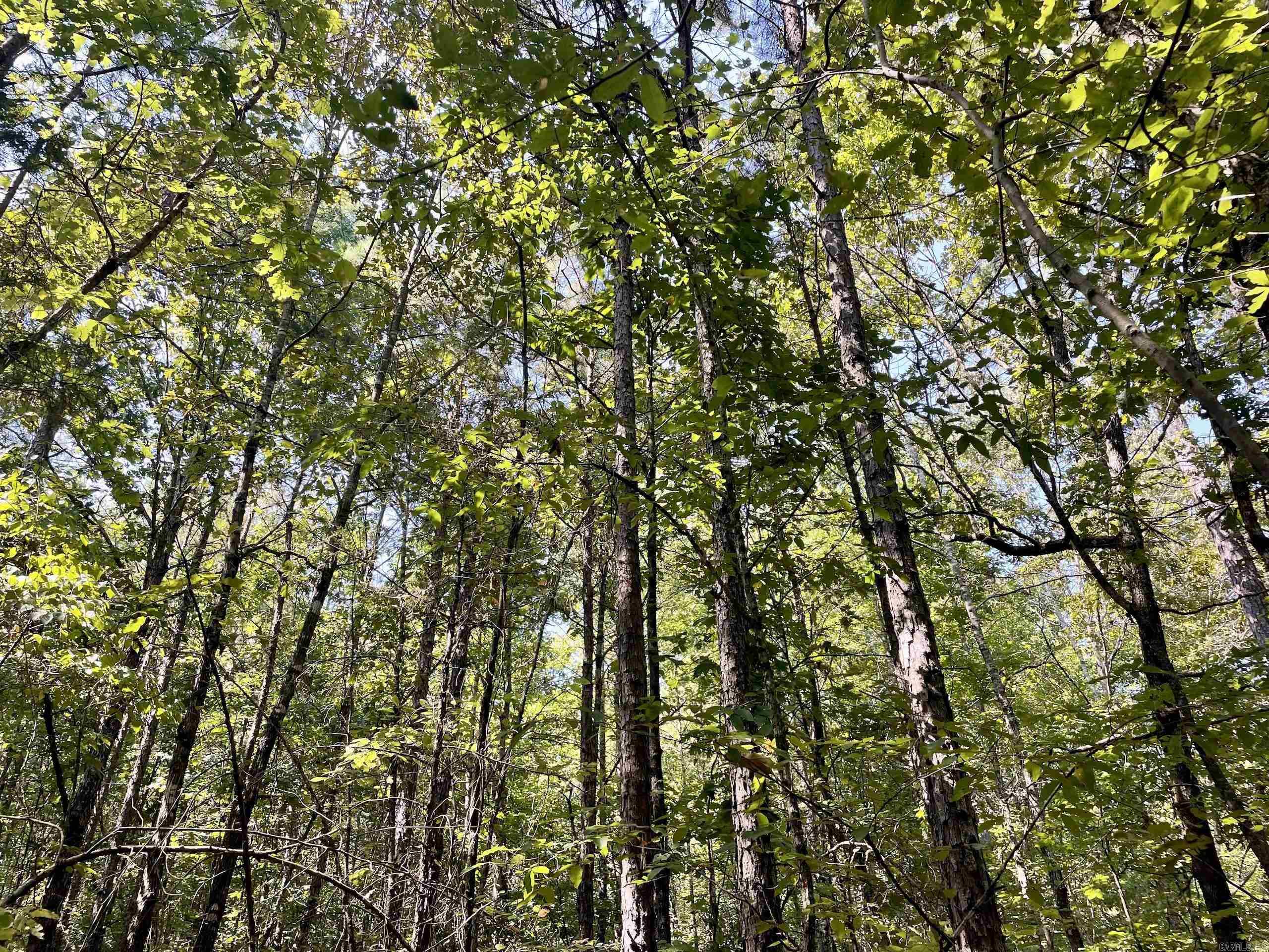 000 Brownsville Road  Higden, AR