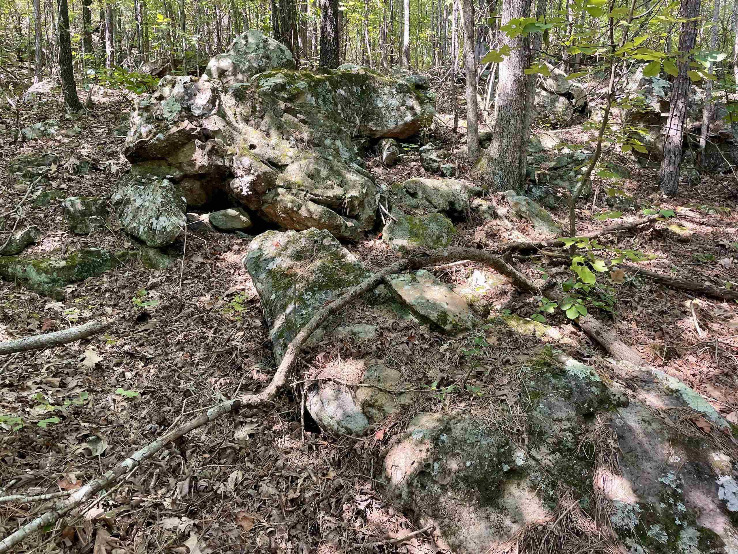 000 Brownsville Road  Higden, AR