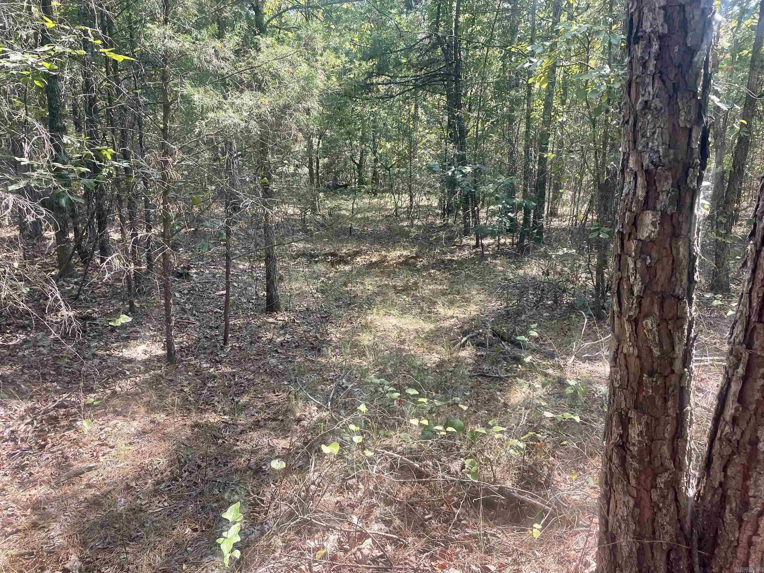 000 Brownsville Road  Higden, AR