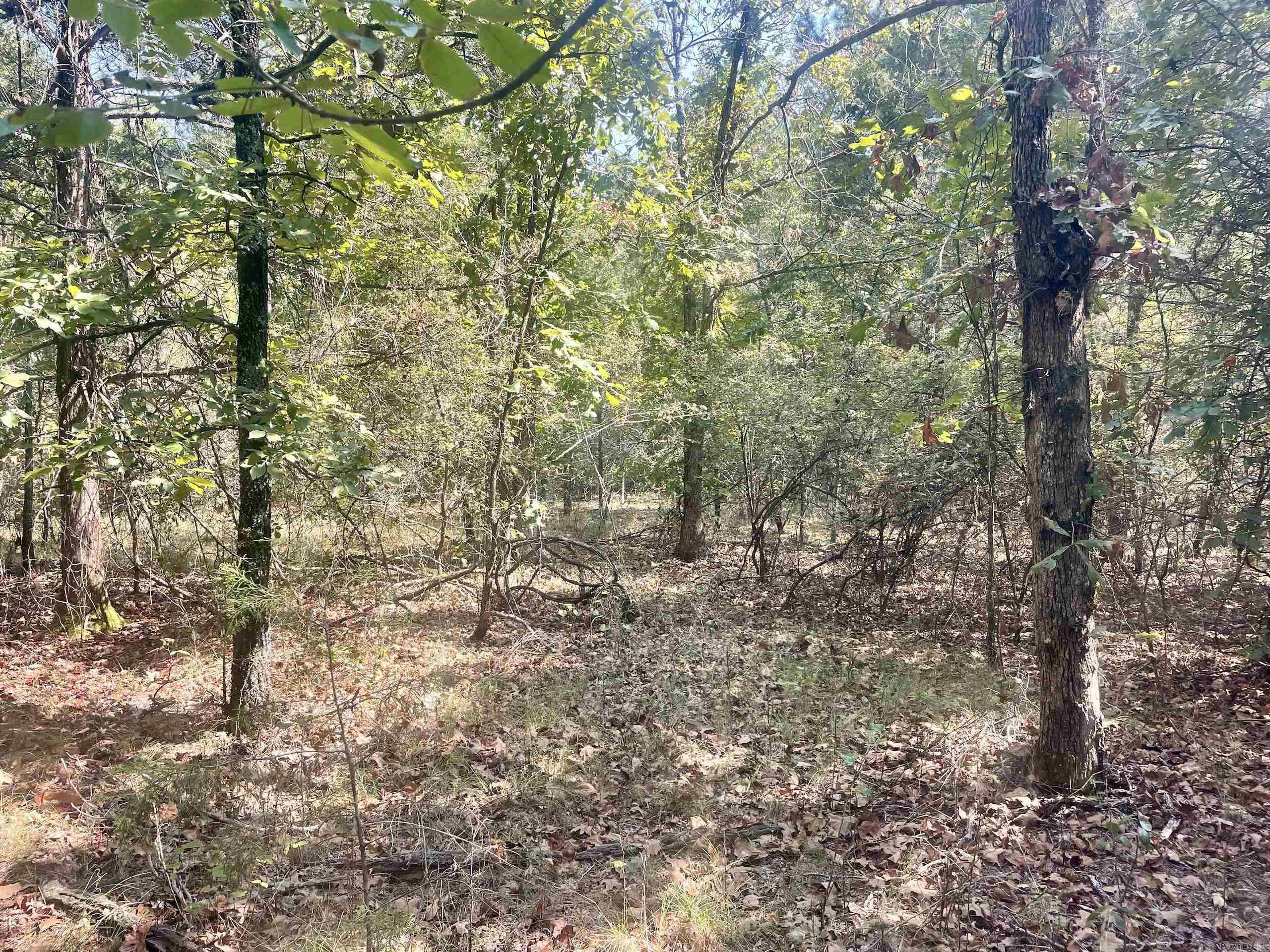 000 Brownsville Road  Higden, AR