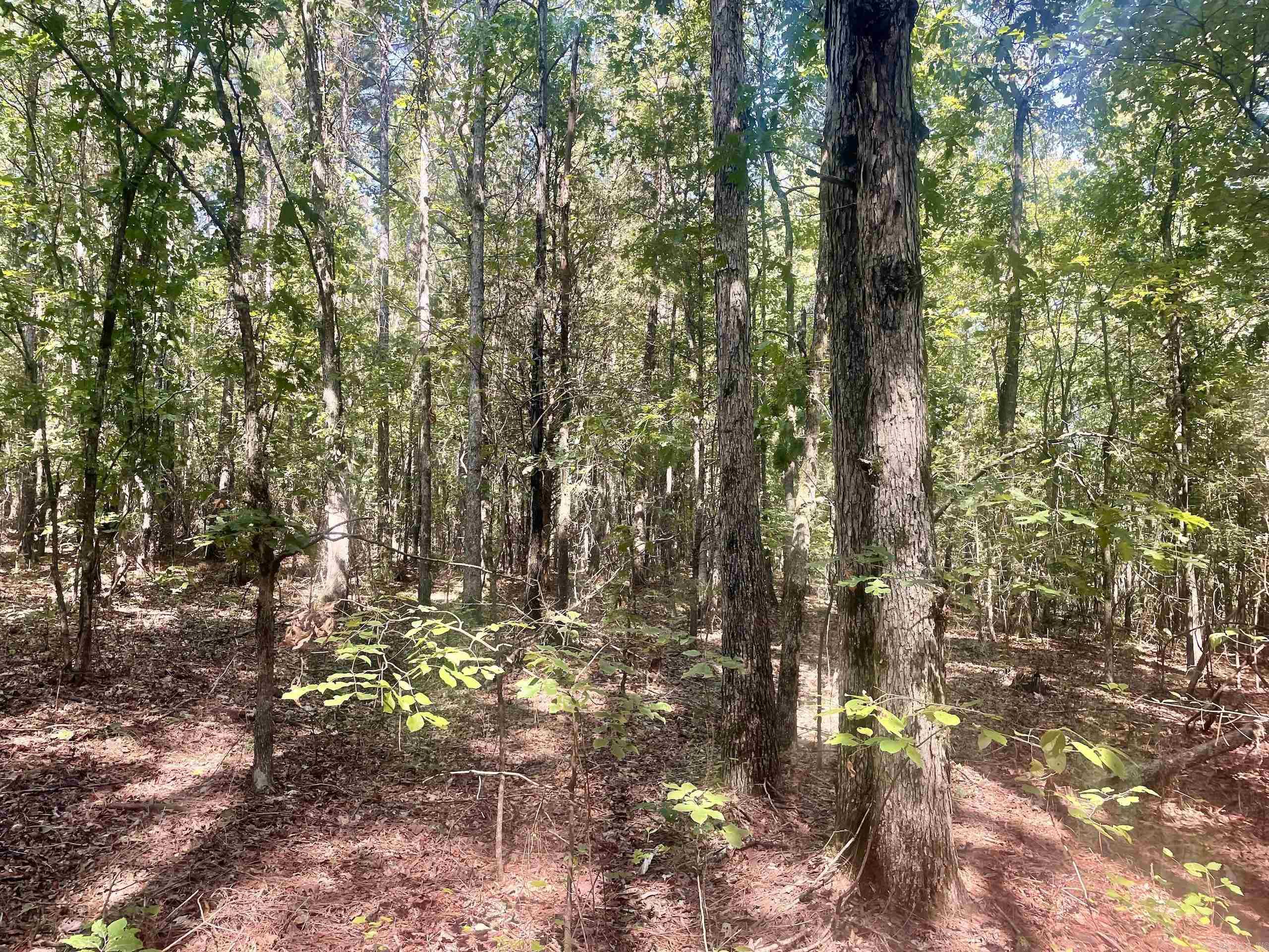 000 Brownsville Road  Higden, AR