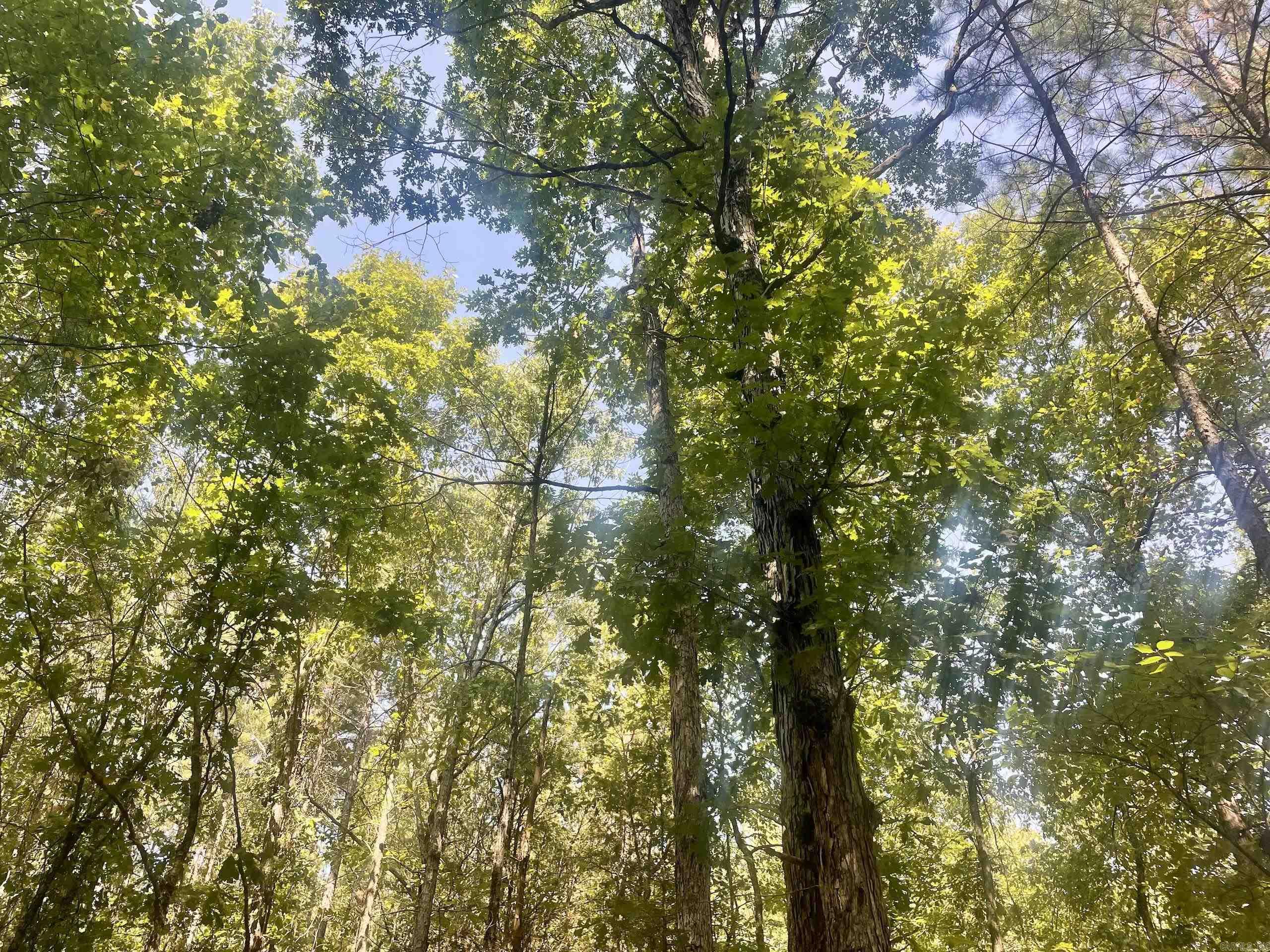 000 Brownsville Road  Higden, AR