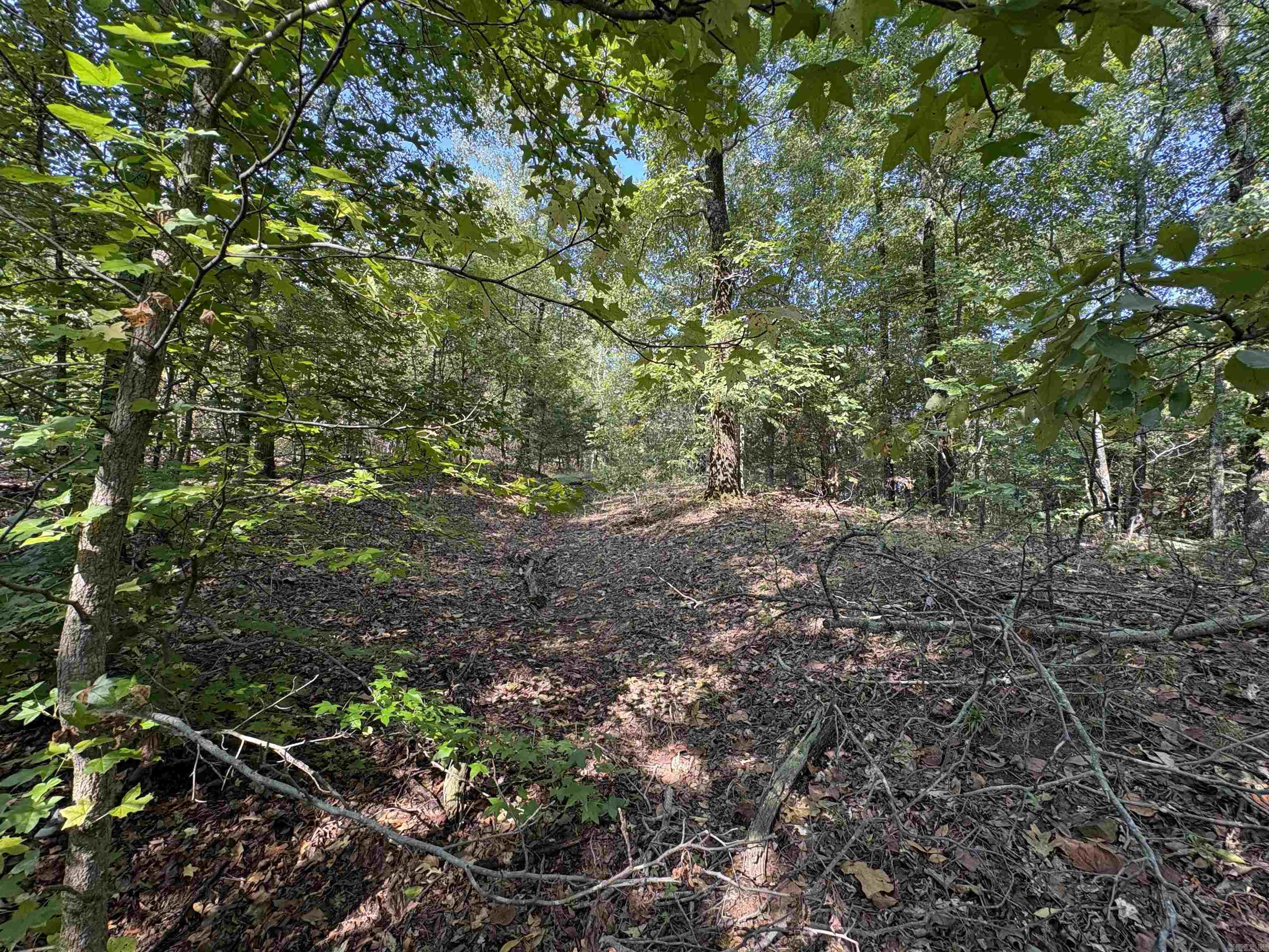 0 Jack Williams  El Paso, AR