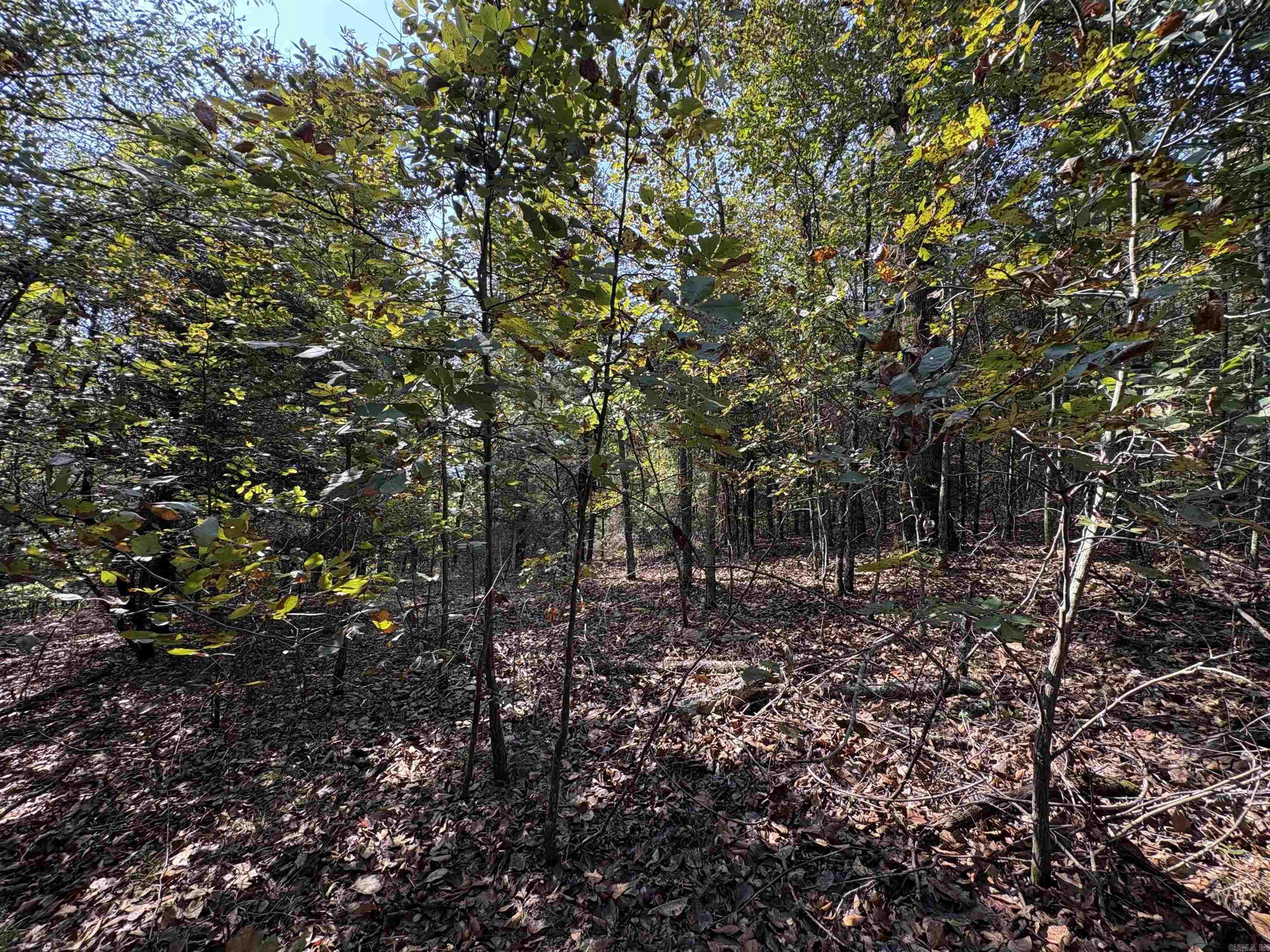 0 Jack Williams  El Paso, AR