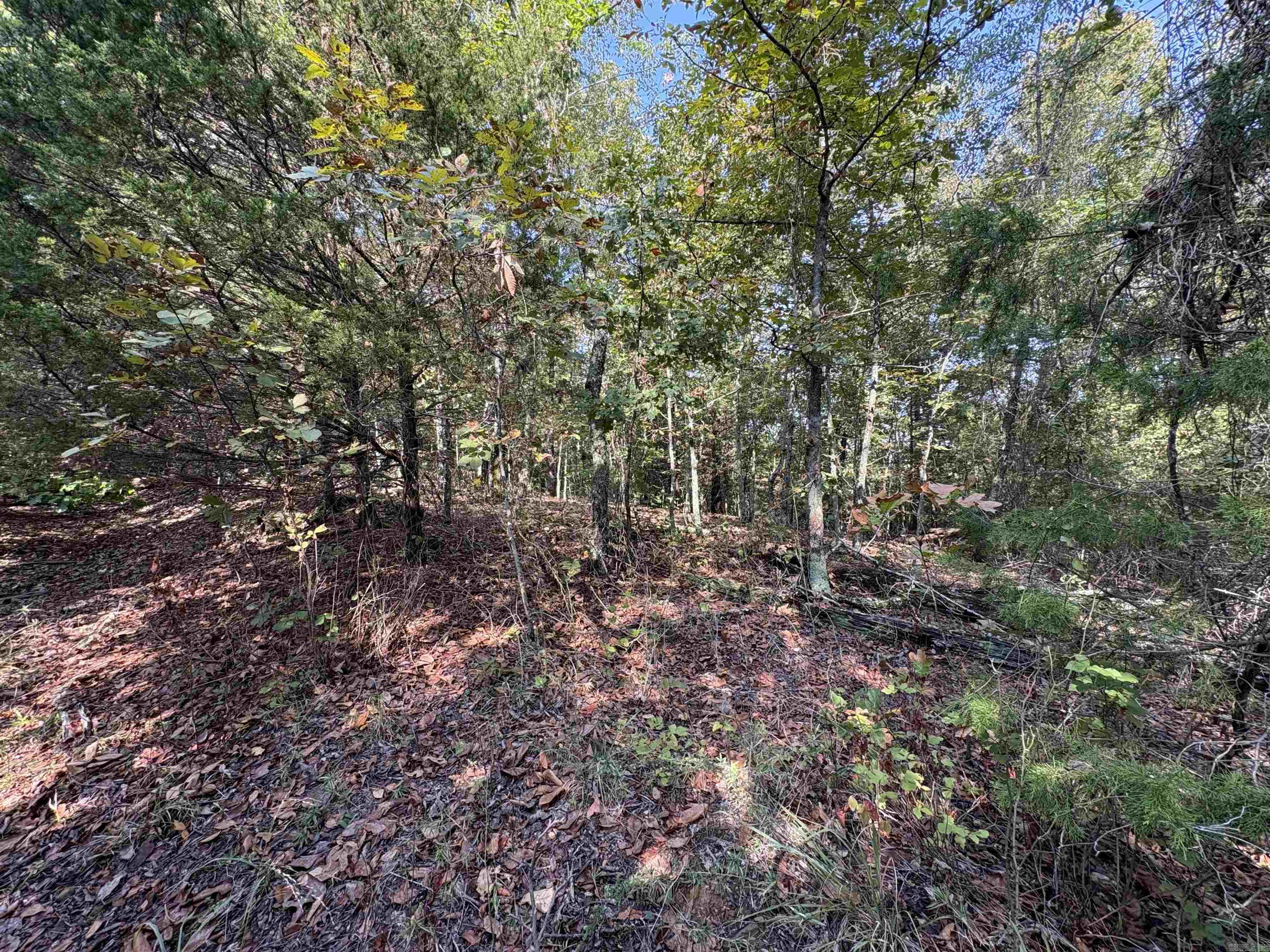 0 Jack Williams  El Paso, AR