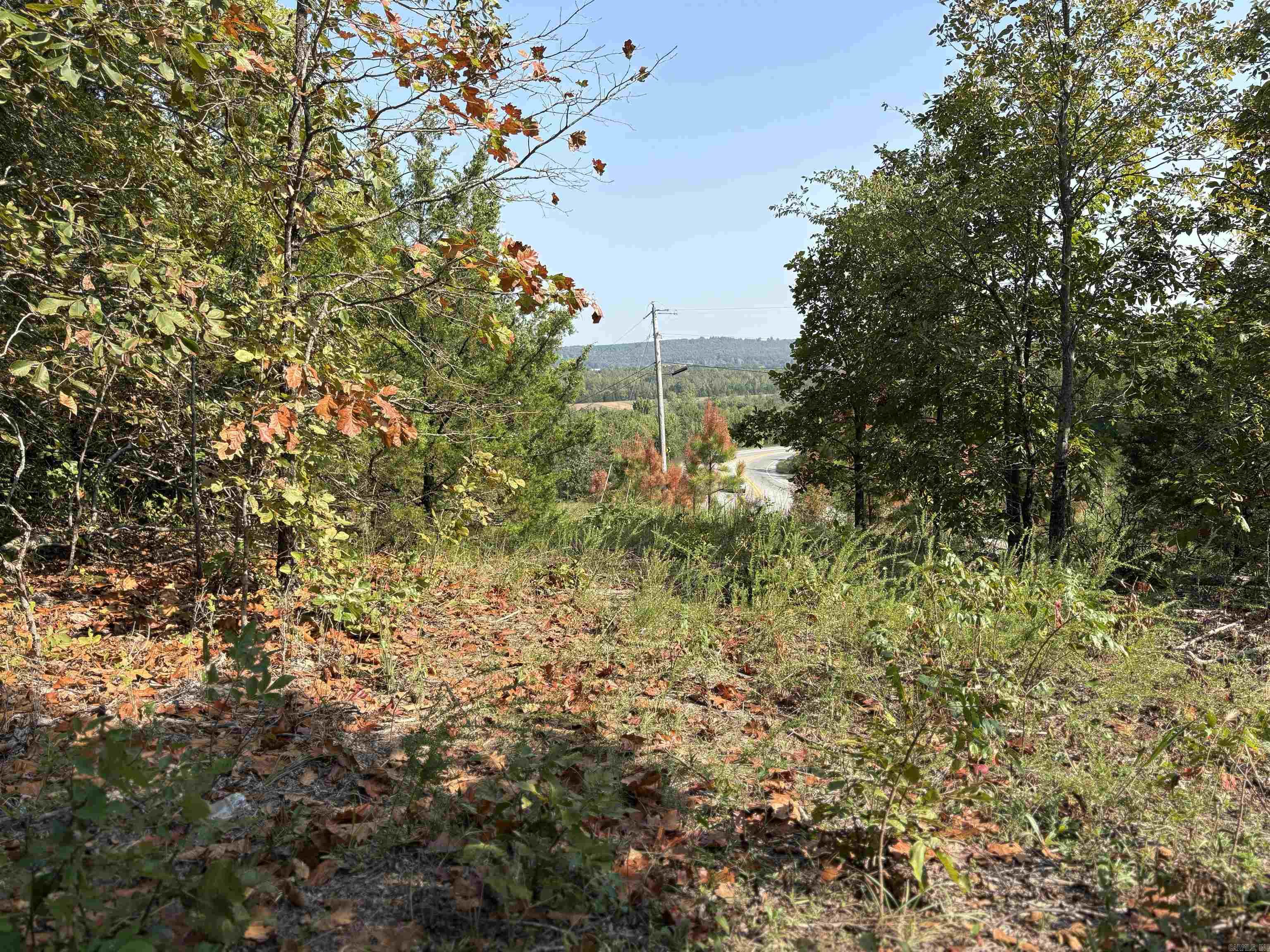 0 Jack Williams  El Paso, AR