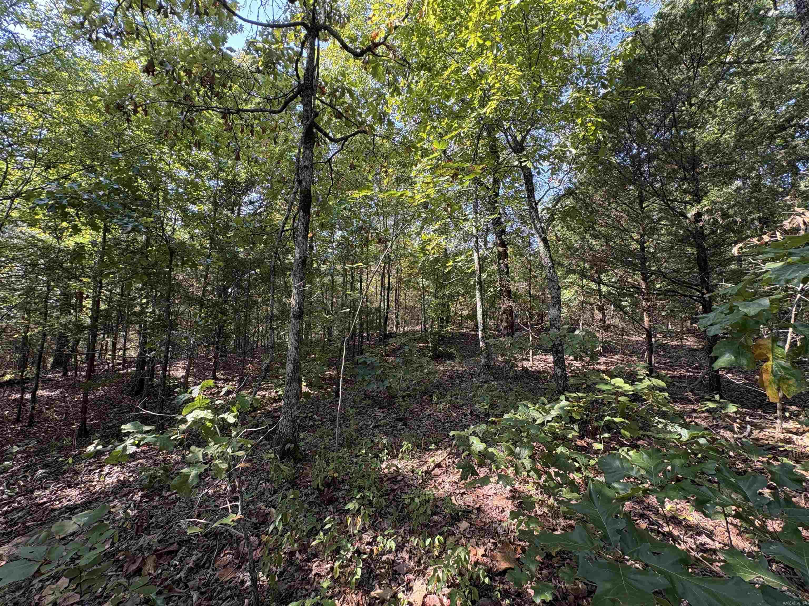 0 Jack Williams  El Paso, AR