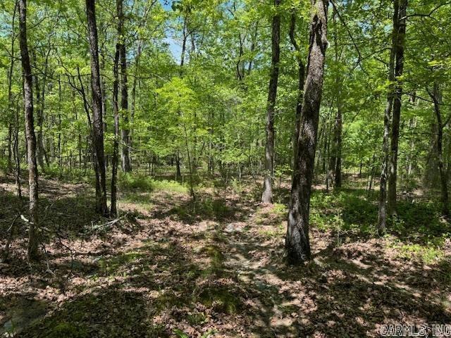 Lot 34 & 35 Brushmountain trail  Little Rock, AR