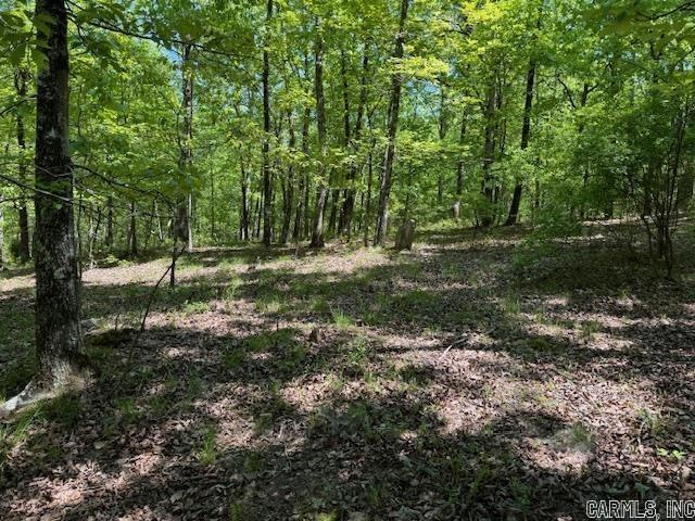 Lot 34 & 35 Brushmountain trail  Little Rock, AR