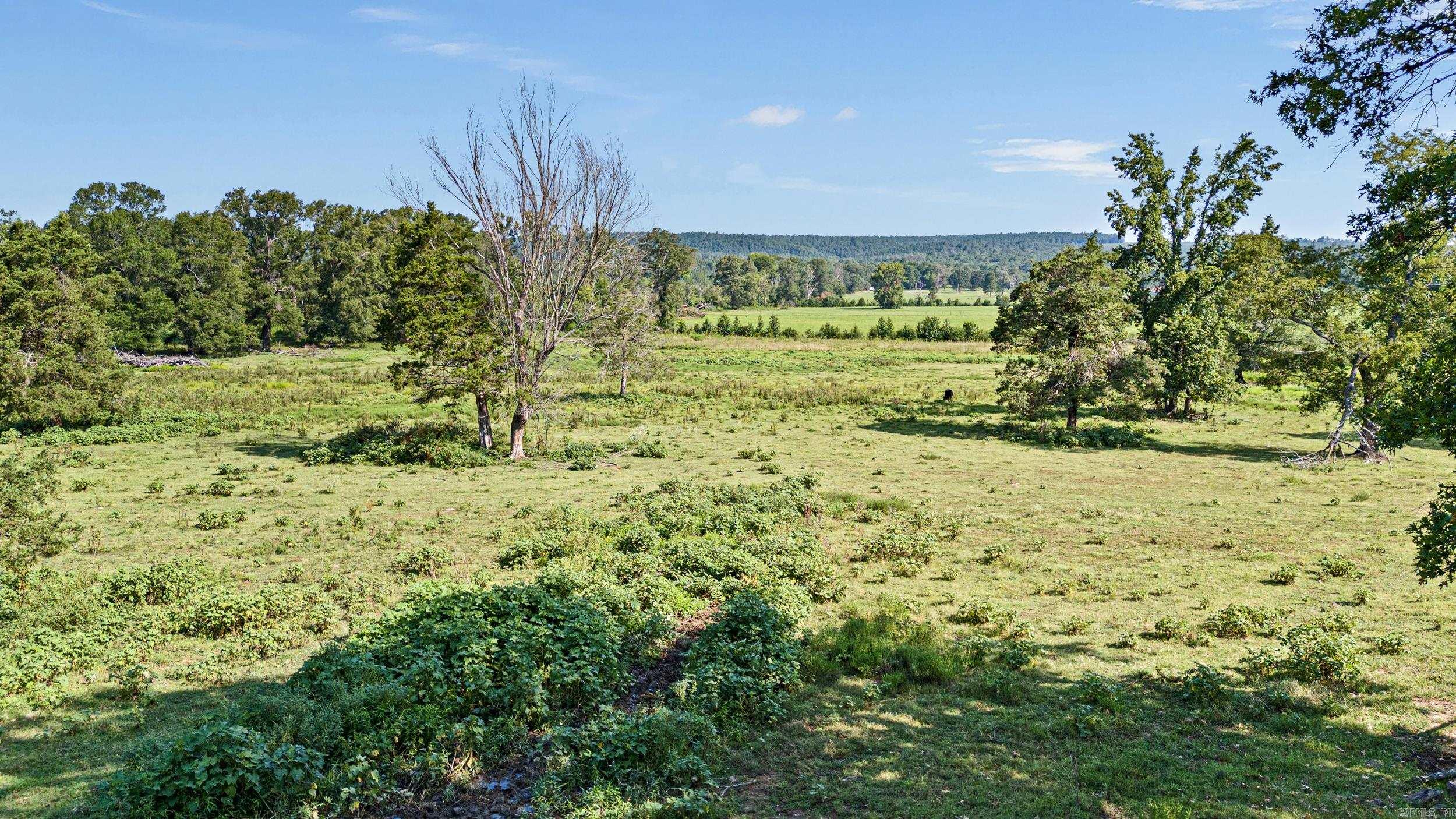 18015 E State Highway 28  Ola, AR