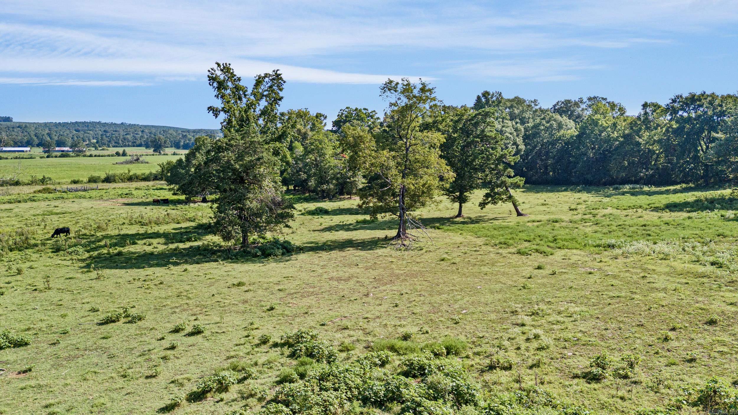 18015 E State Highway 28  Ola, AR