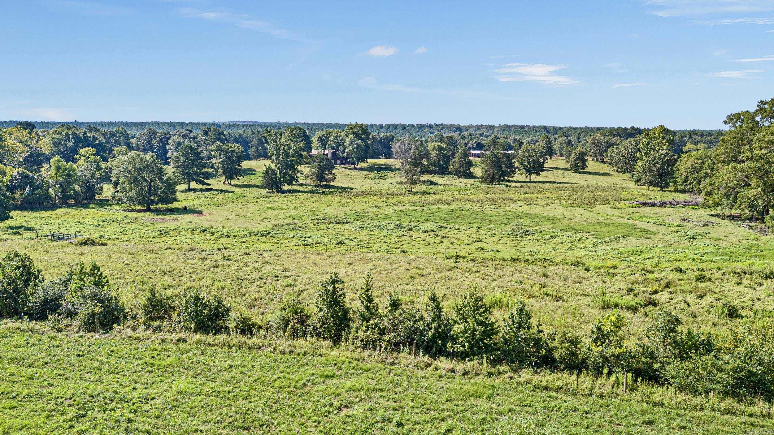 18015 E State Highway 28  Ola, AR