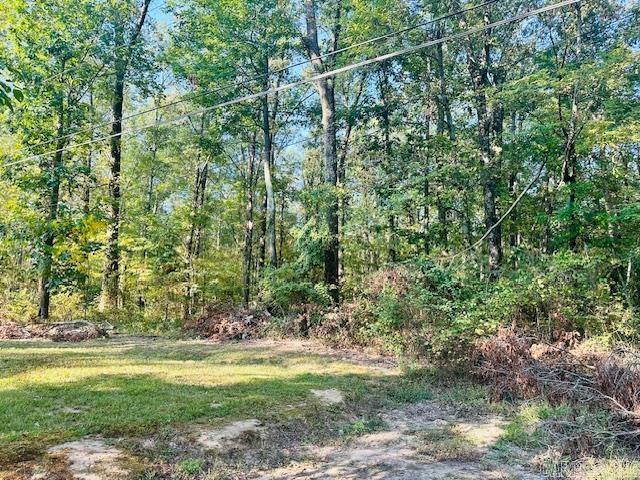 3688 Hwy. 367 S  Searcy, AR