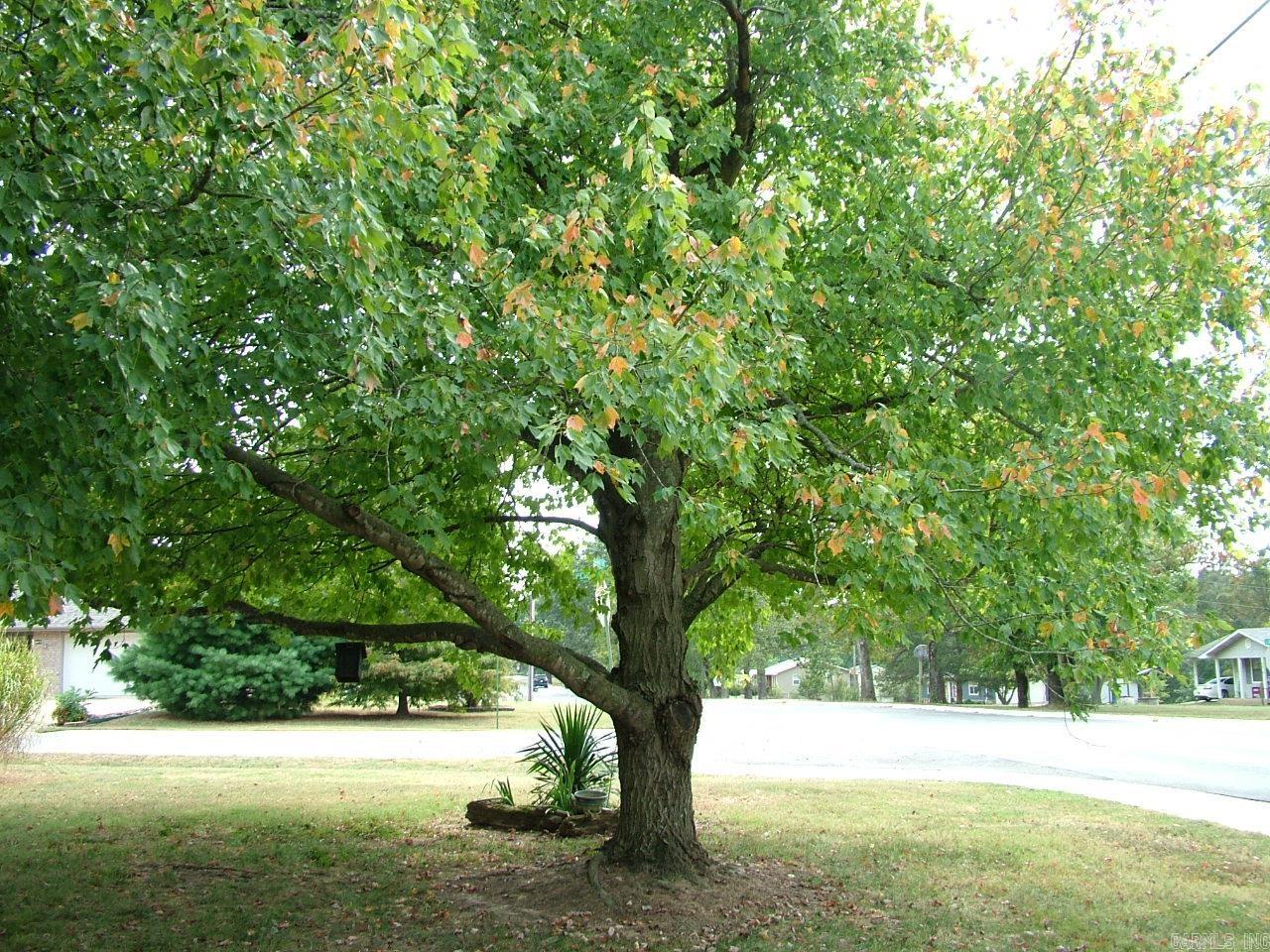 611 Hickory Hollow Drive Mountain Home, AR 72653