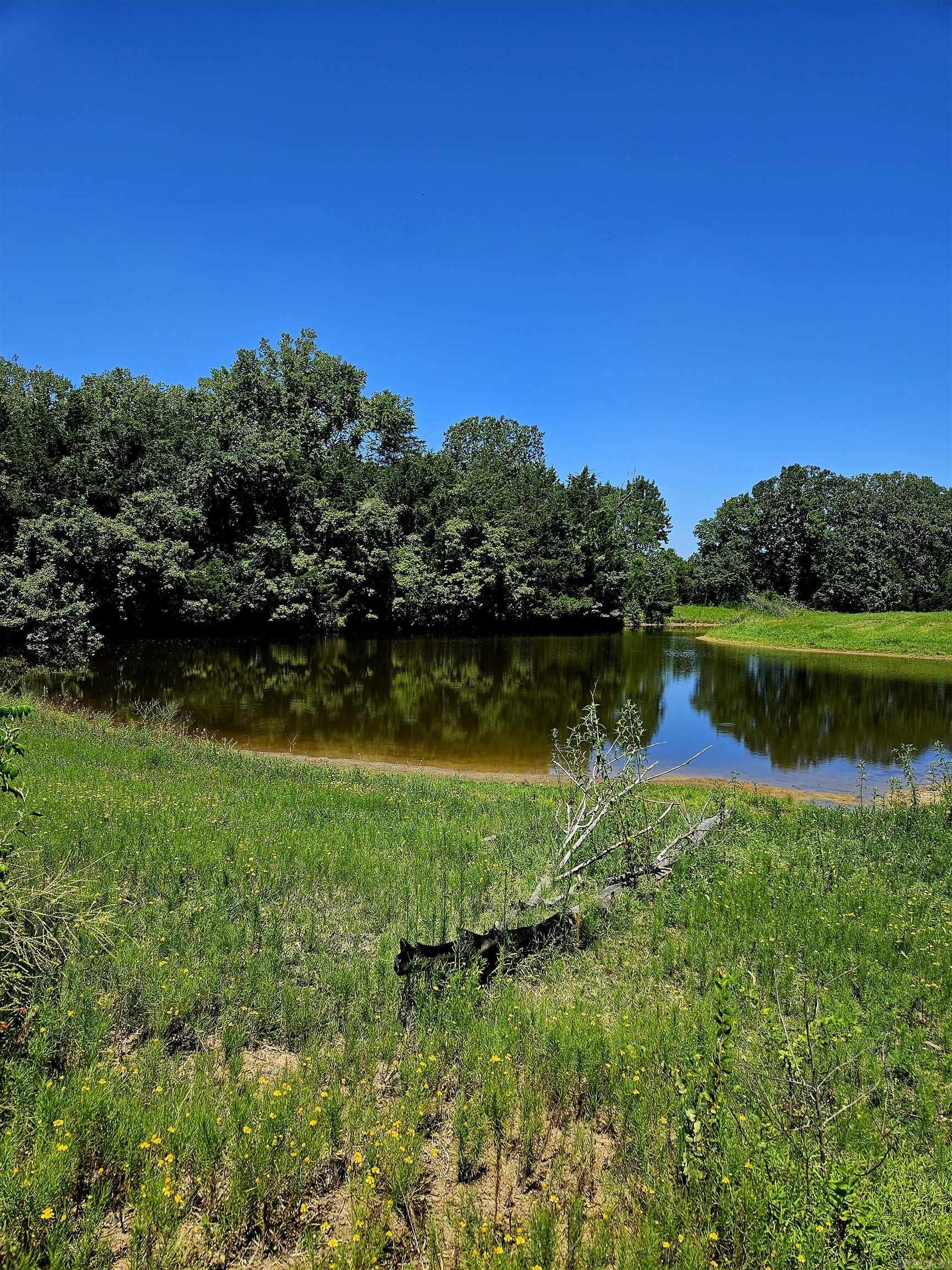 TBD Painted ACres Lane