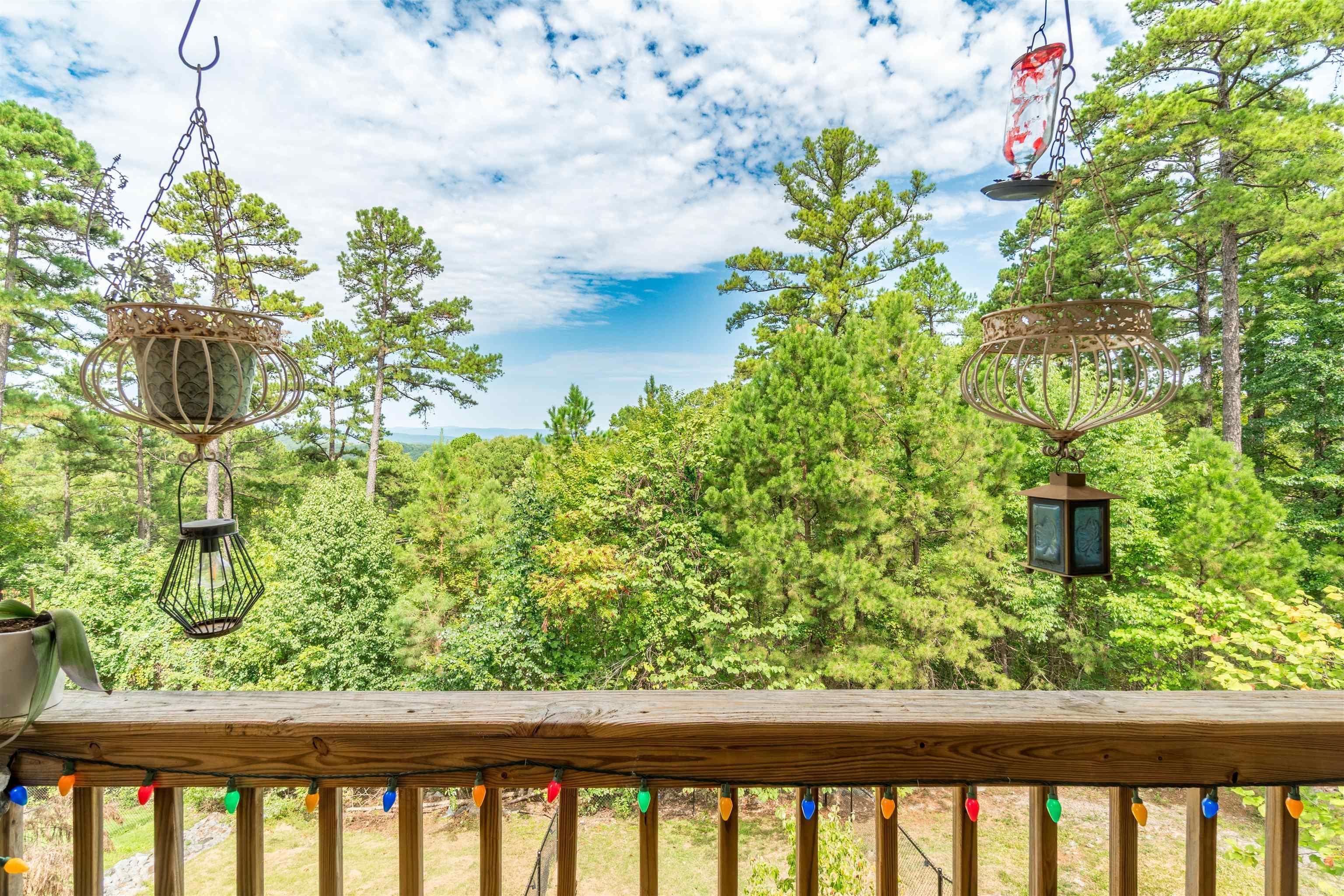 20 Las Navas Lane Hot Springs Village, AR 71909