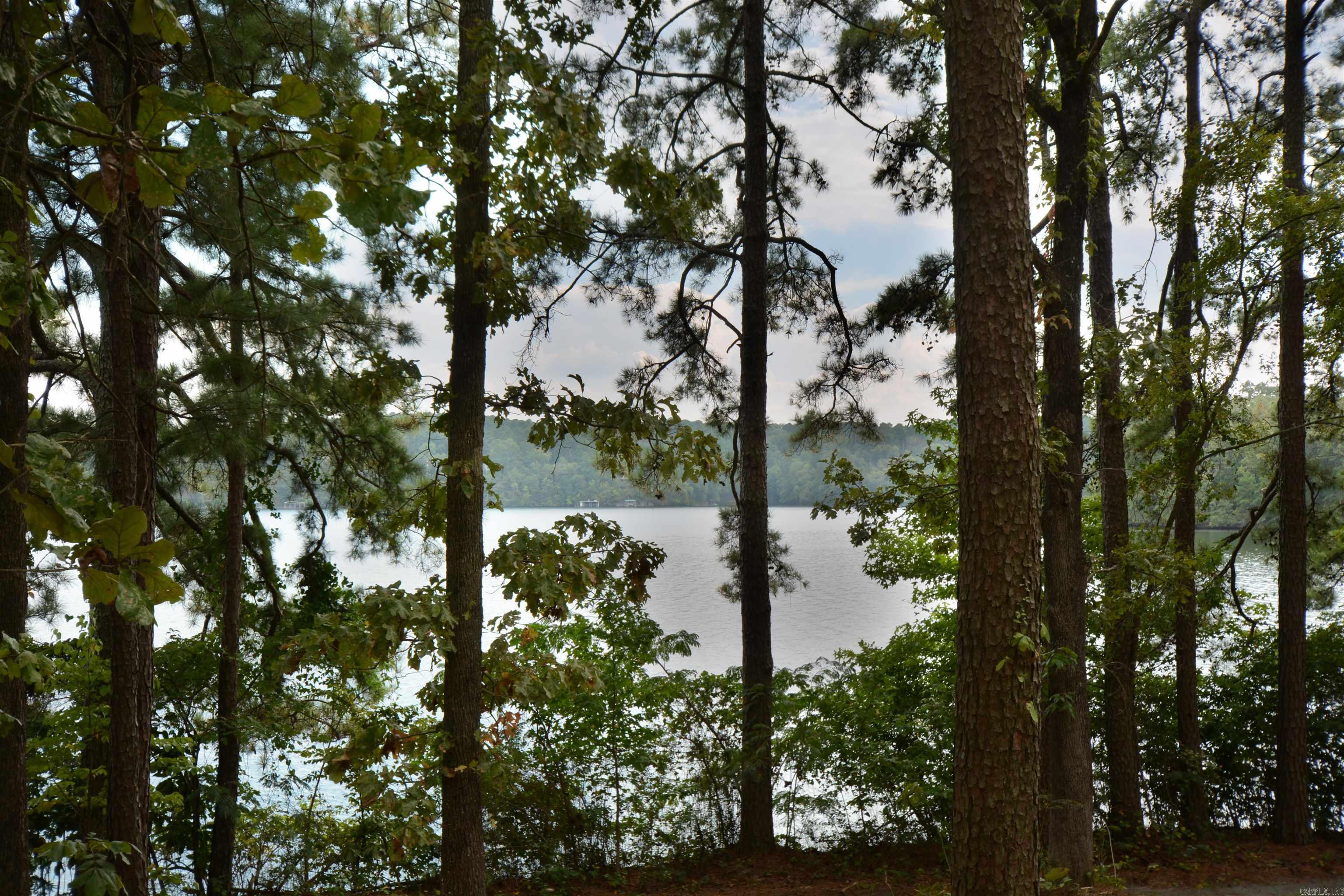 LOT 5 PENINSULA  Hot Springs, AR