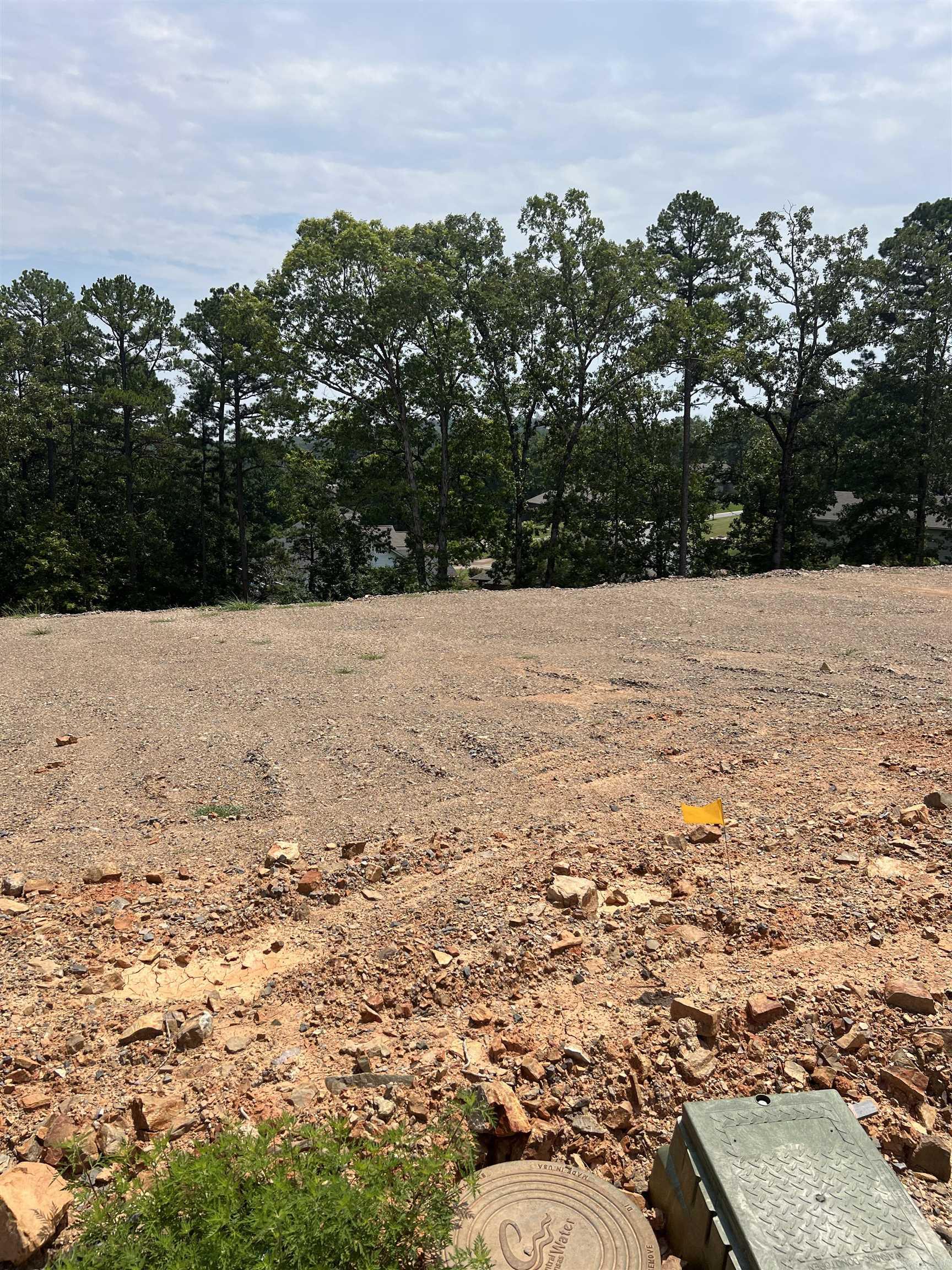 Lot 11 Ellia's Cove  Maumelle, AR