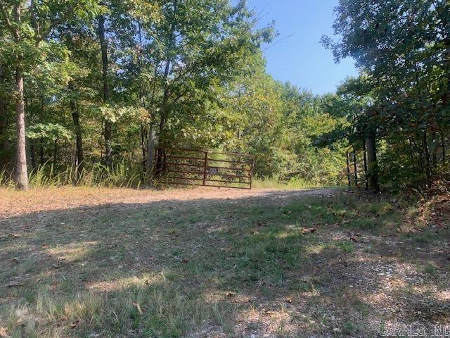 304 Tater Knob  Yellville, AR