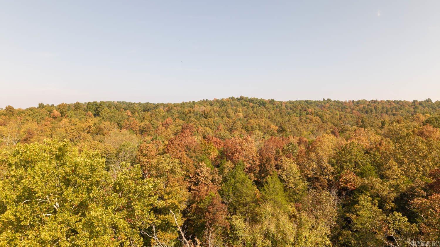 11748 Highway 63 South  Hardy, AR