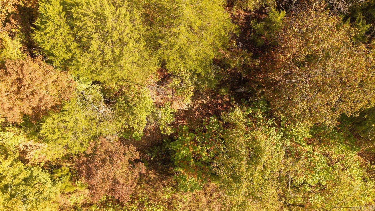 11748 Highway 63 South  Hardy, AR