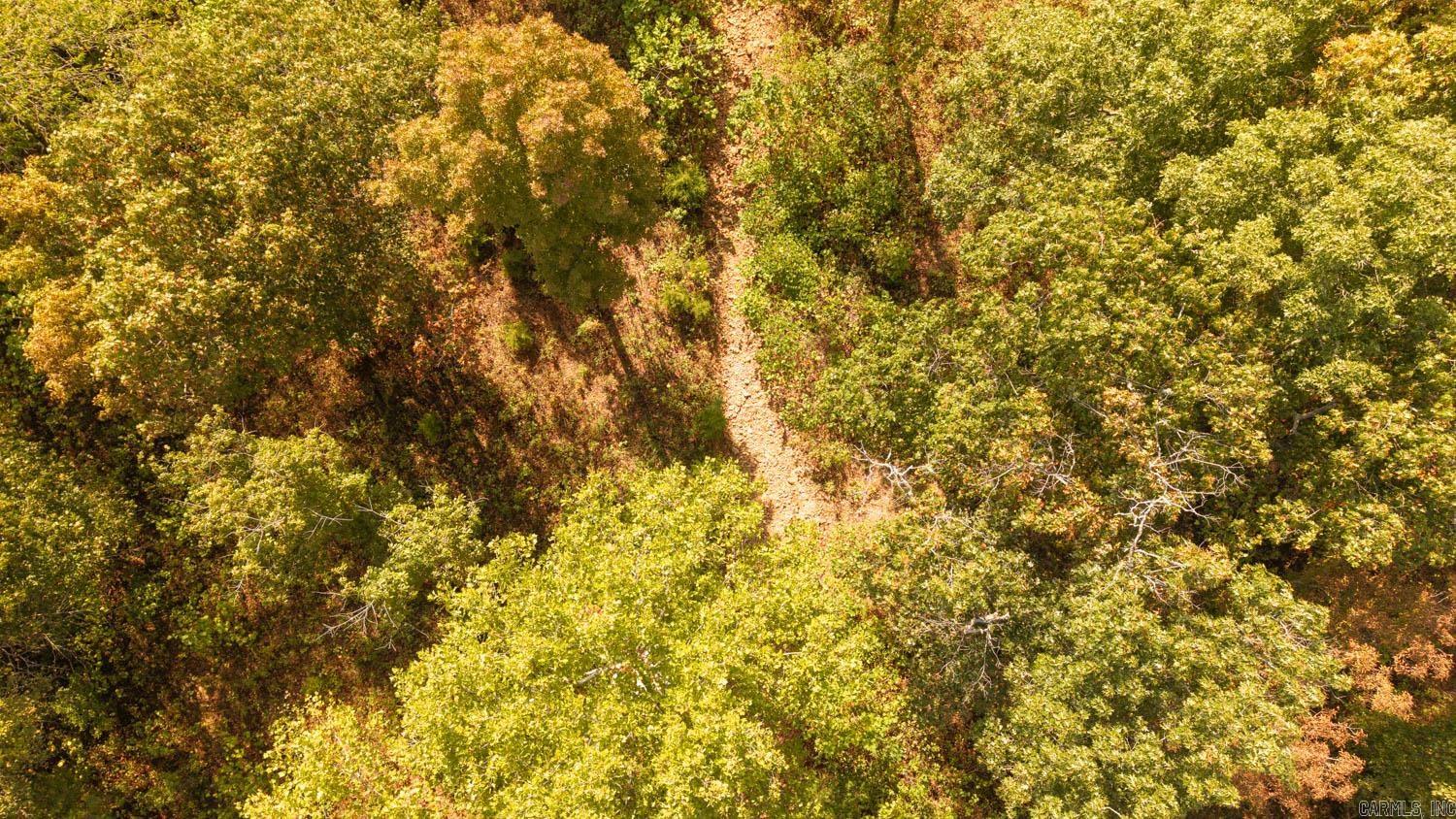 11748 Highway 63 South  Hardy, AR