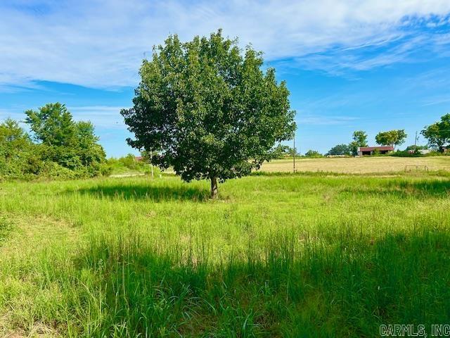 11099 14 Highway Big Flat, AR 72617