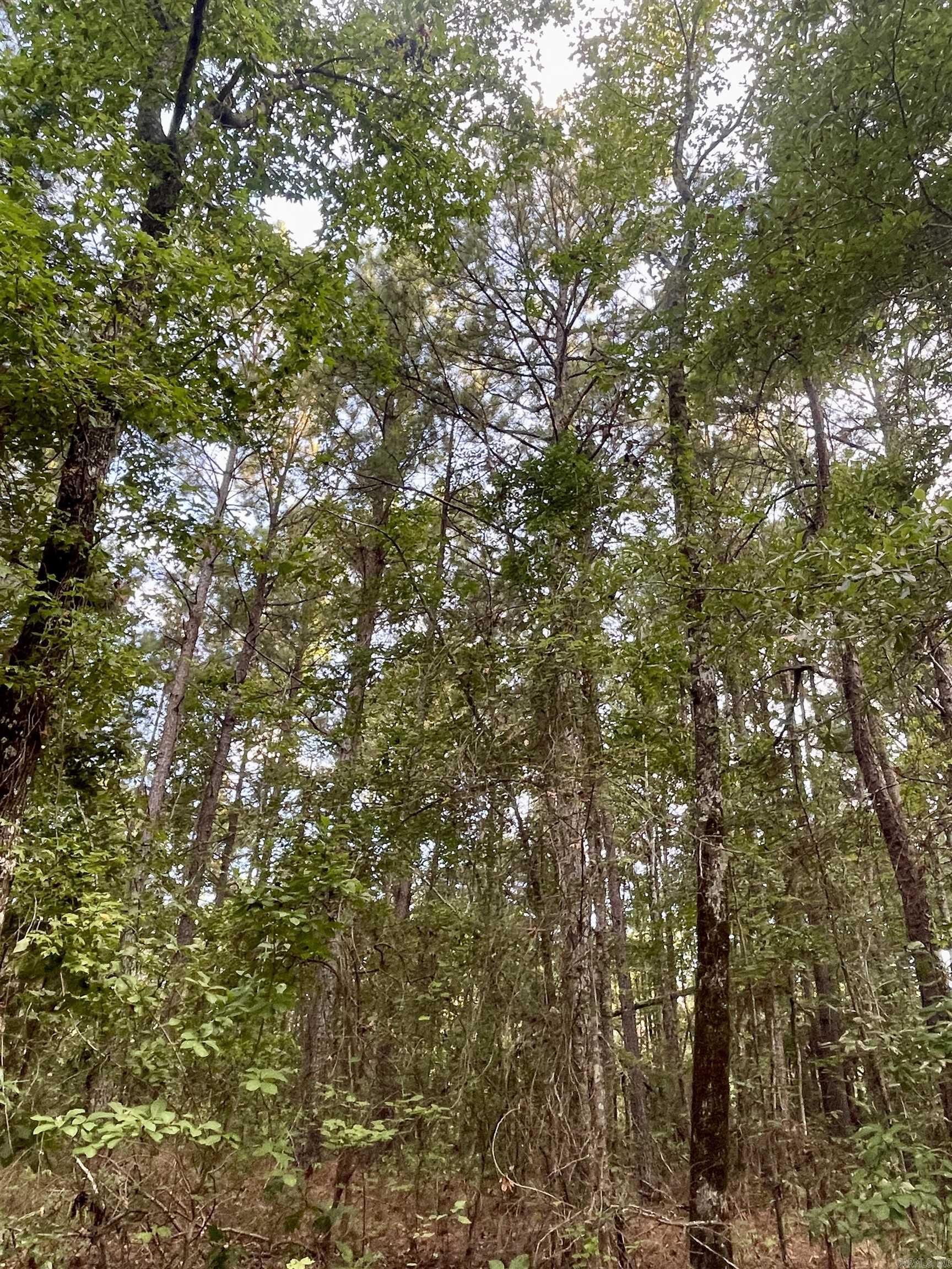 TBD Miller County 32  Doddridge, AR