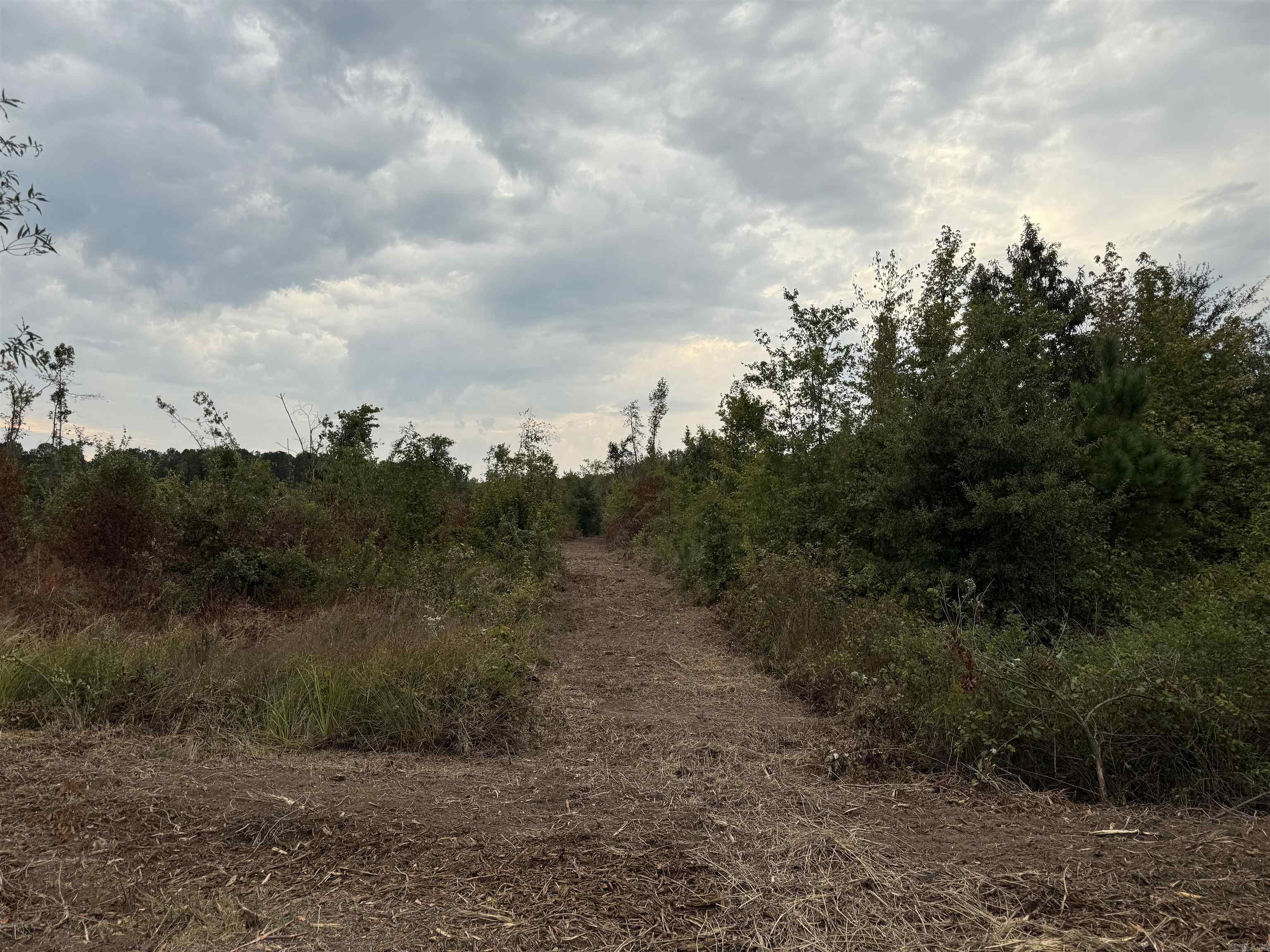 000 Hwy. 13  McRae, AR